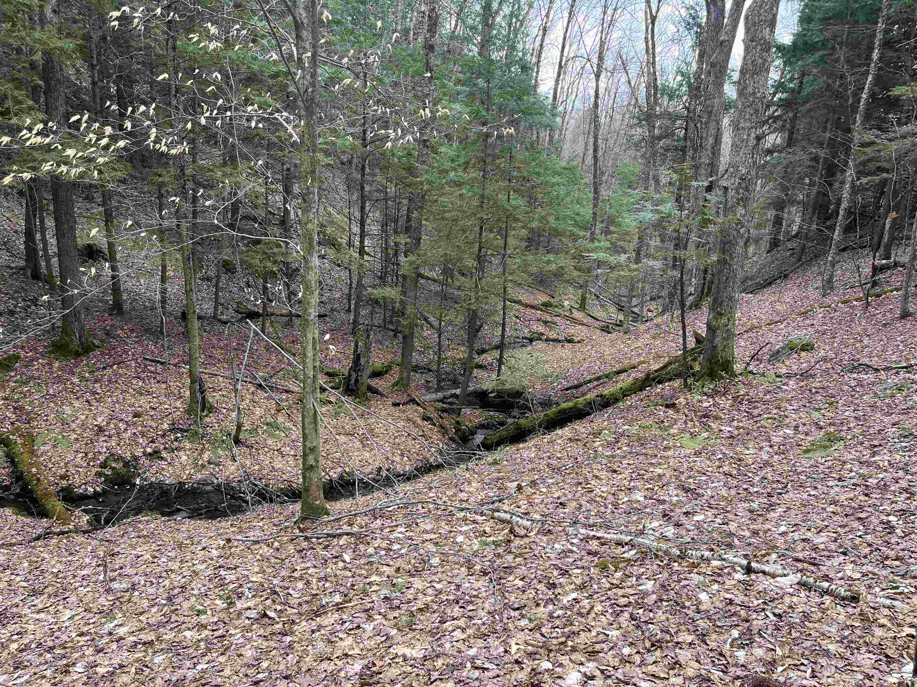 near TBD Deerfield Hills Road Morristown, VT 05661 Property 4