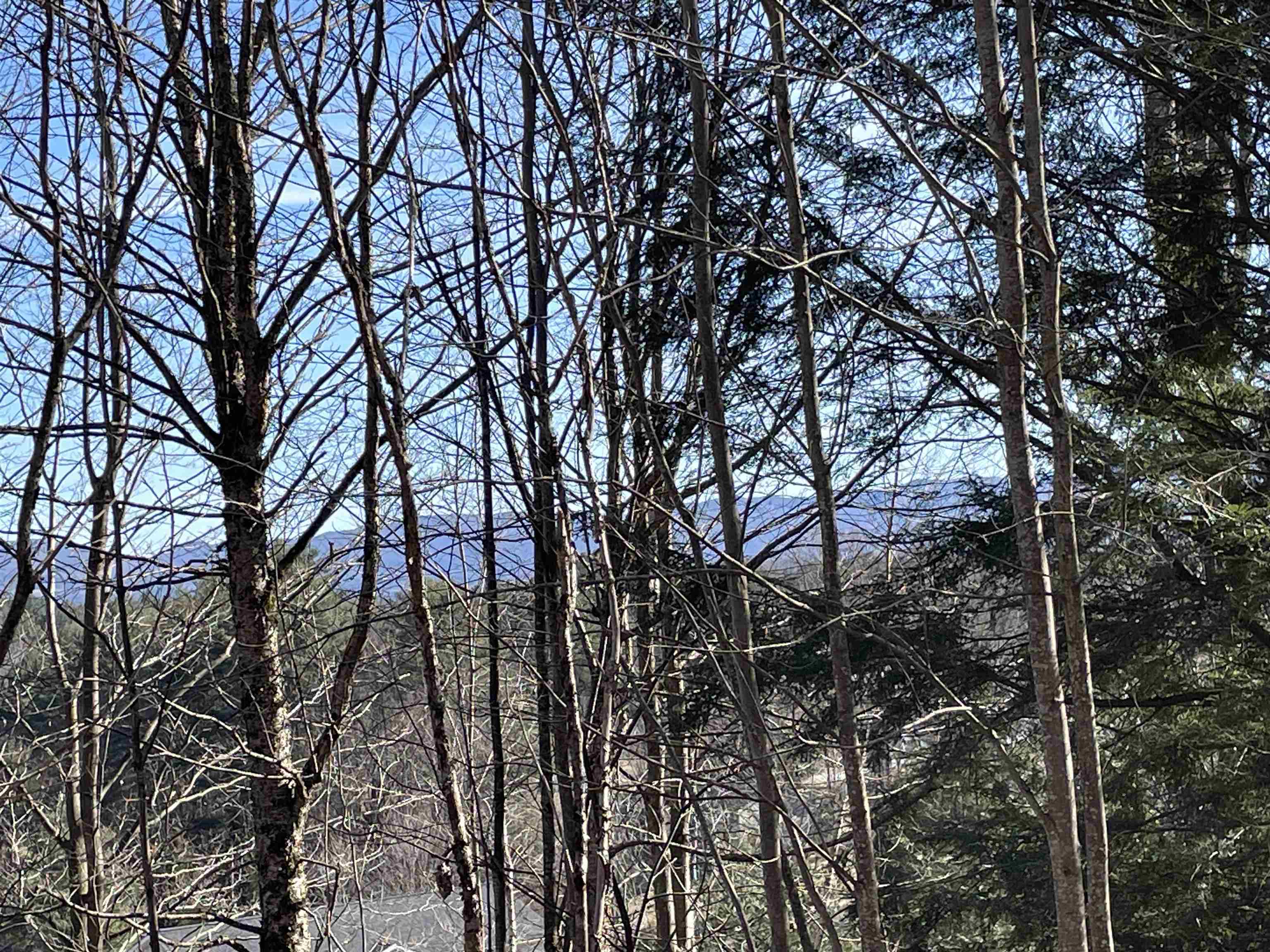 near 4 & 5 Haley Drive Hyde Park, VT 05655 Property 1