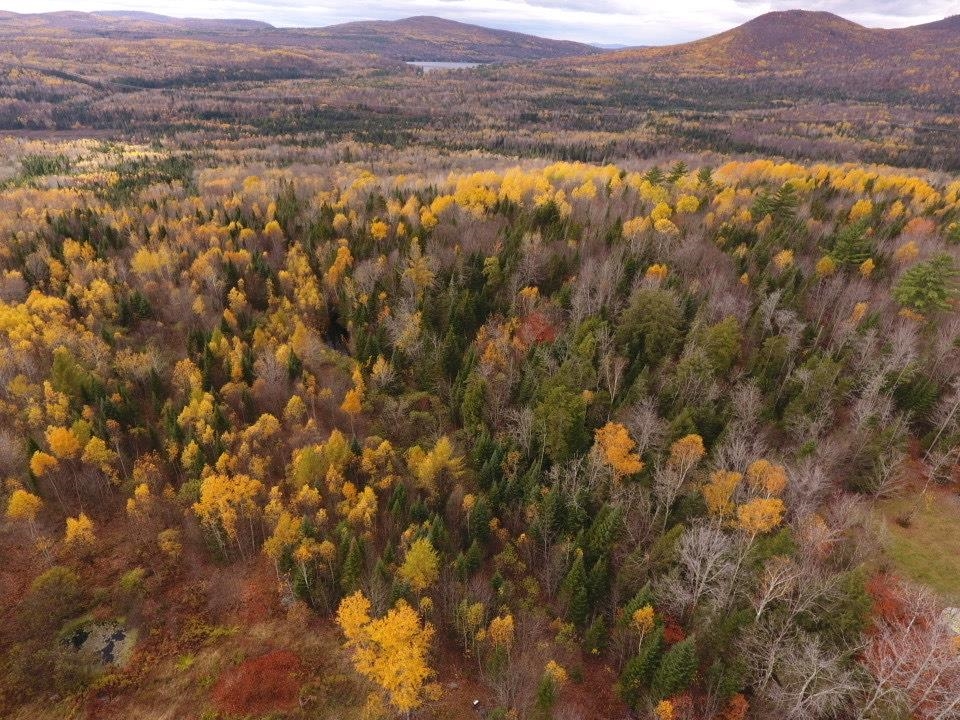 near 732 North Concord Road Concord, VT 05858 Property 4