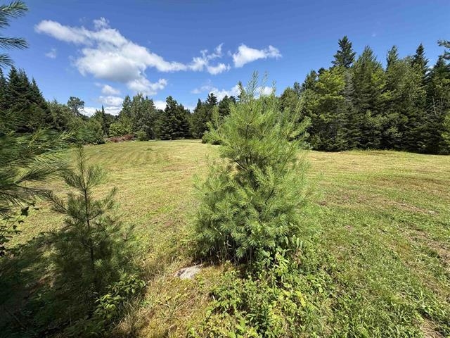 near Lot 4 Haley Drive Hyde Park, VT 05655 Property 2