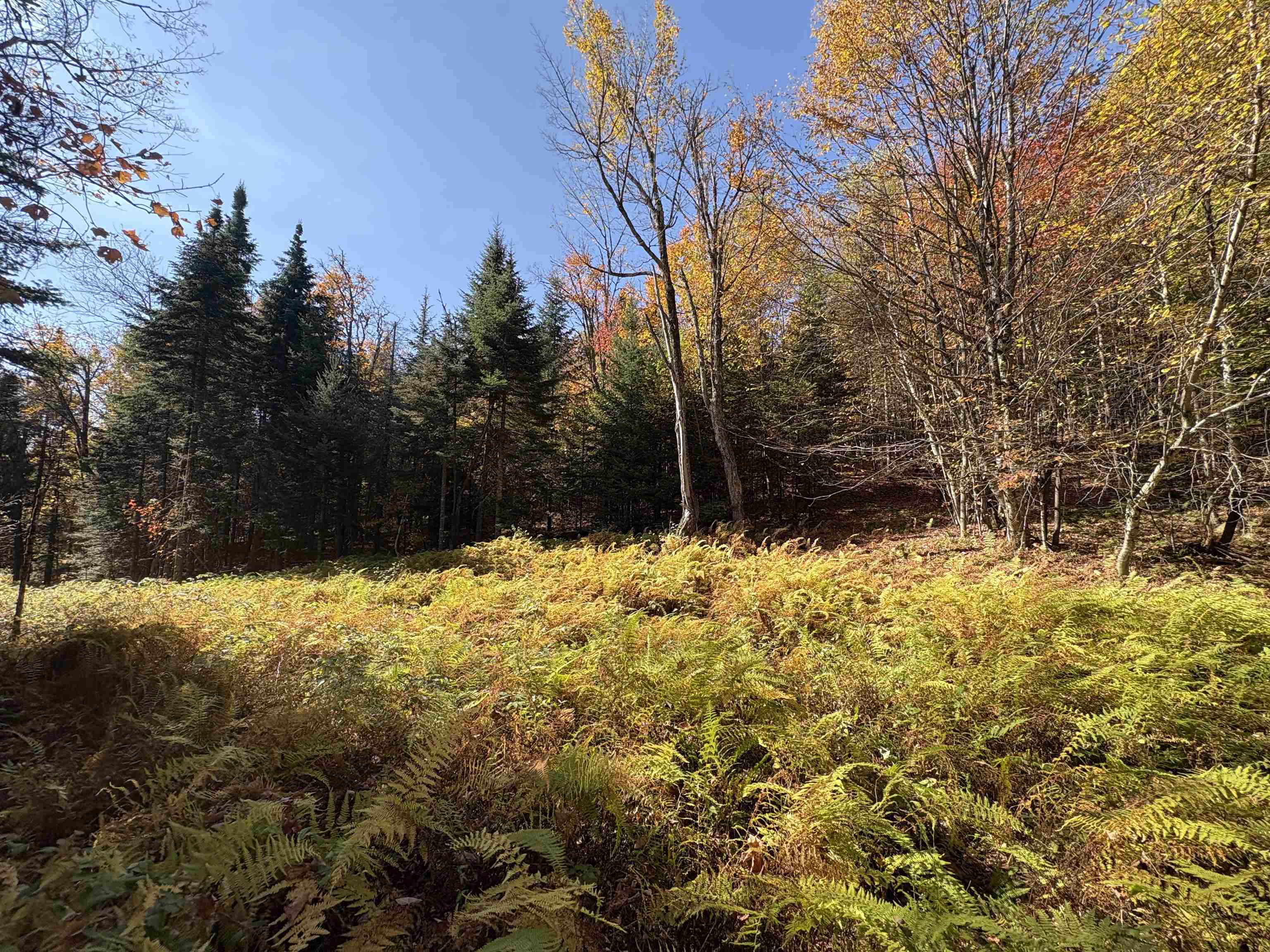 near 0 Foliage Lane Westmore, VT 25822 Property 4