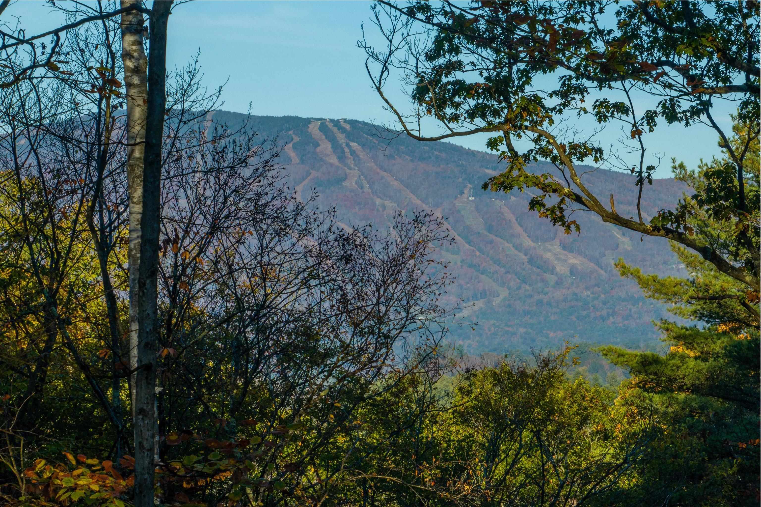 near 142 Brooks Road Ludlow, VT 05149 Property 4