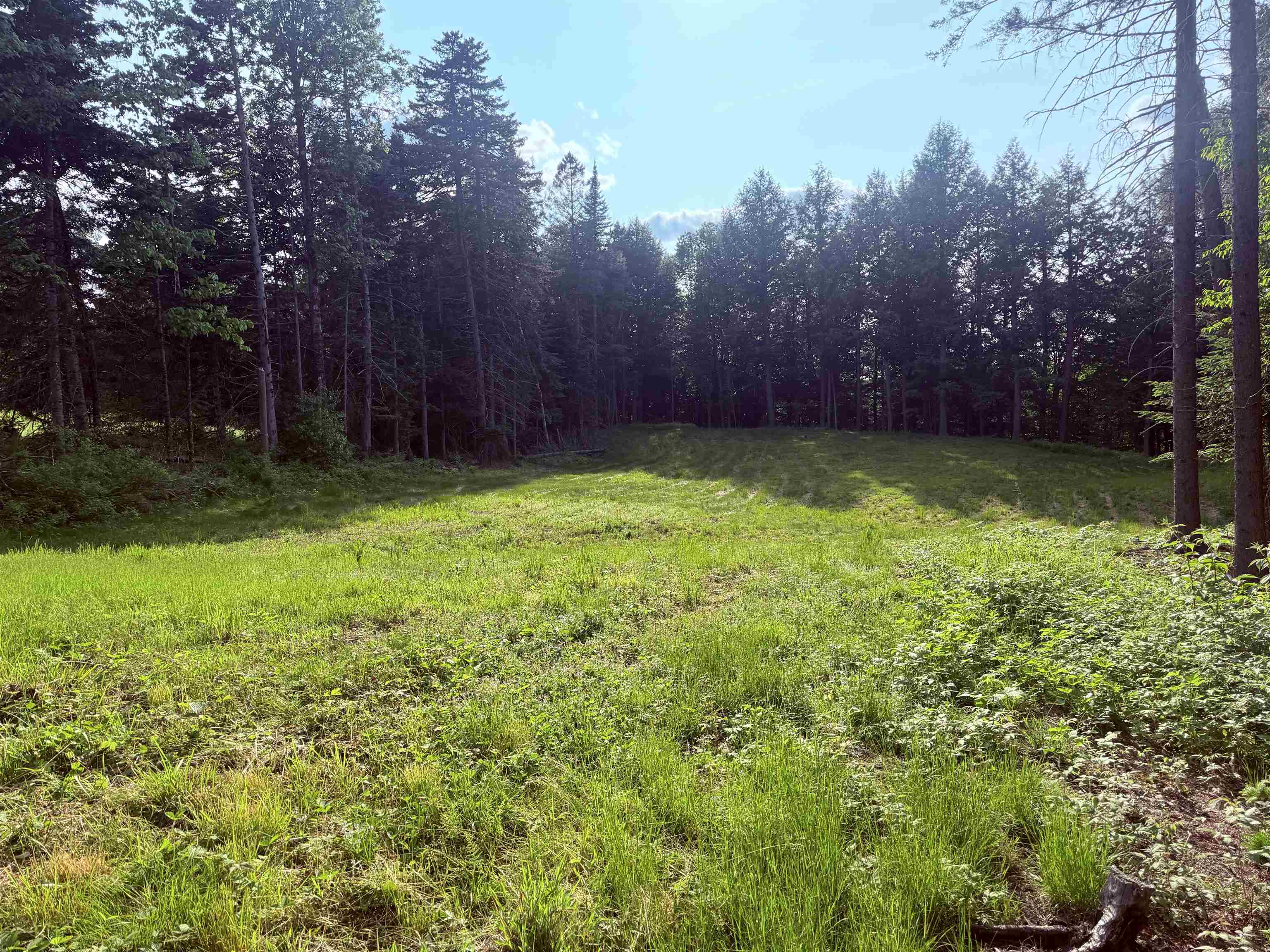 near 0 Washburn Road Burke, VT 05832 Property 3 near 0 Washburn Road Burke, VT 05832 Property 3