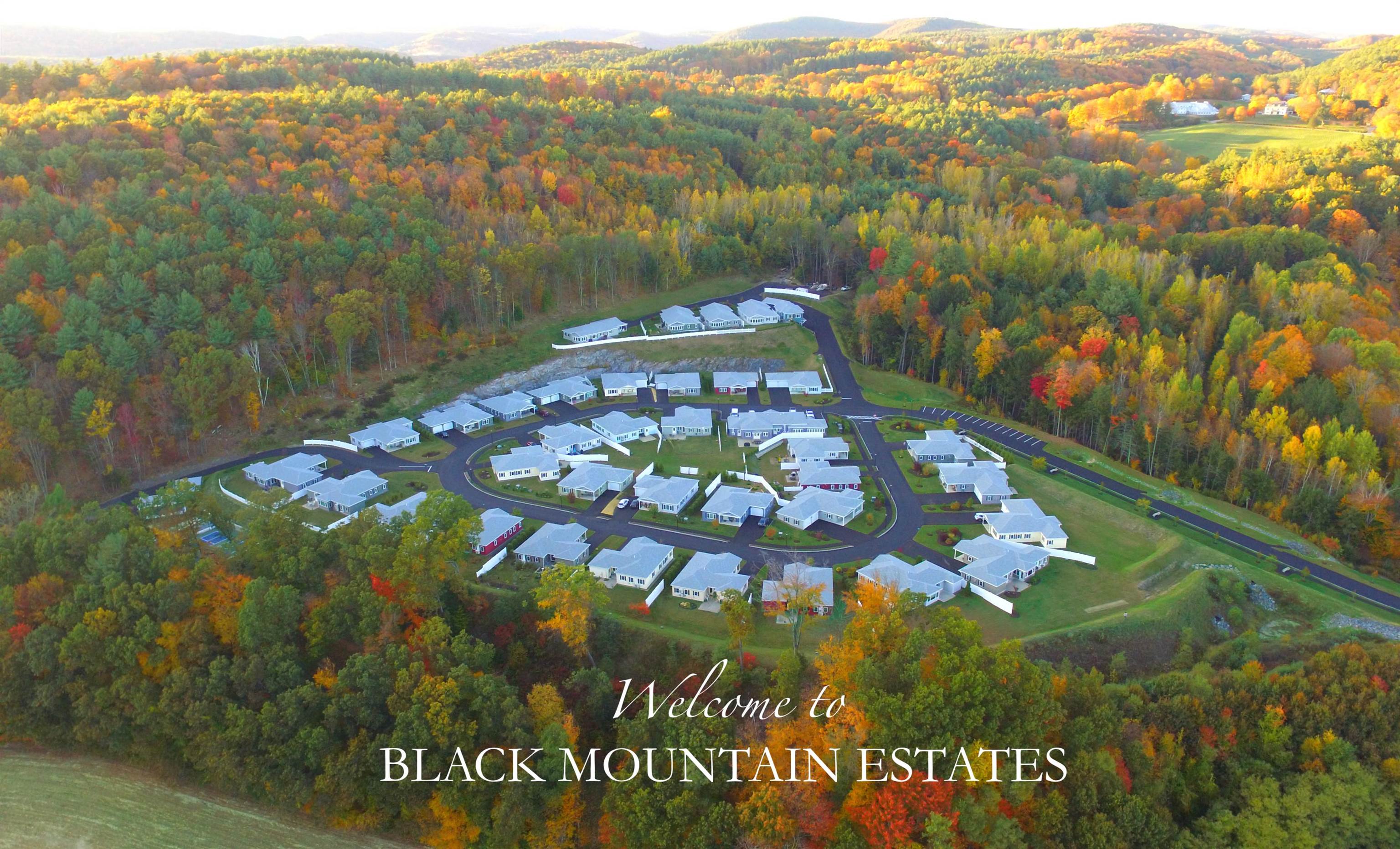 near 321 Leonard Road Dummerston, VT 05301 Property 2