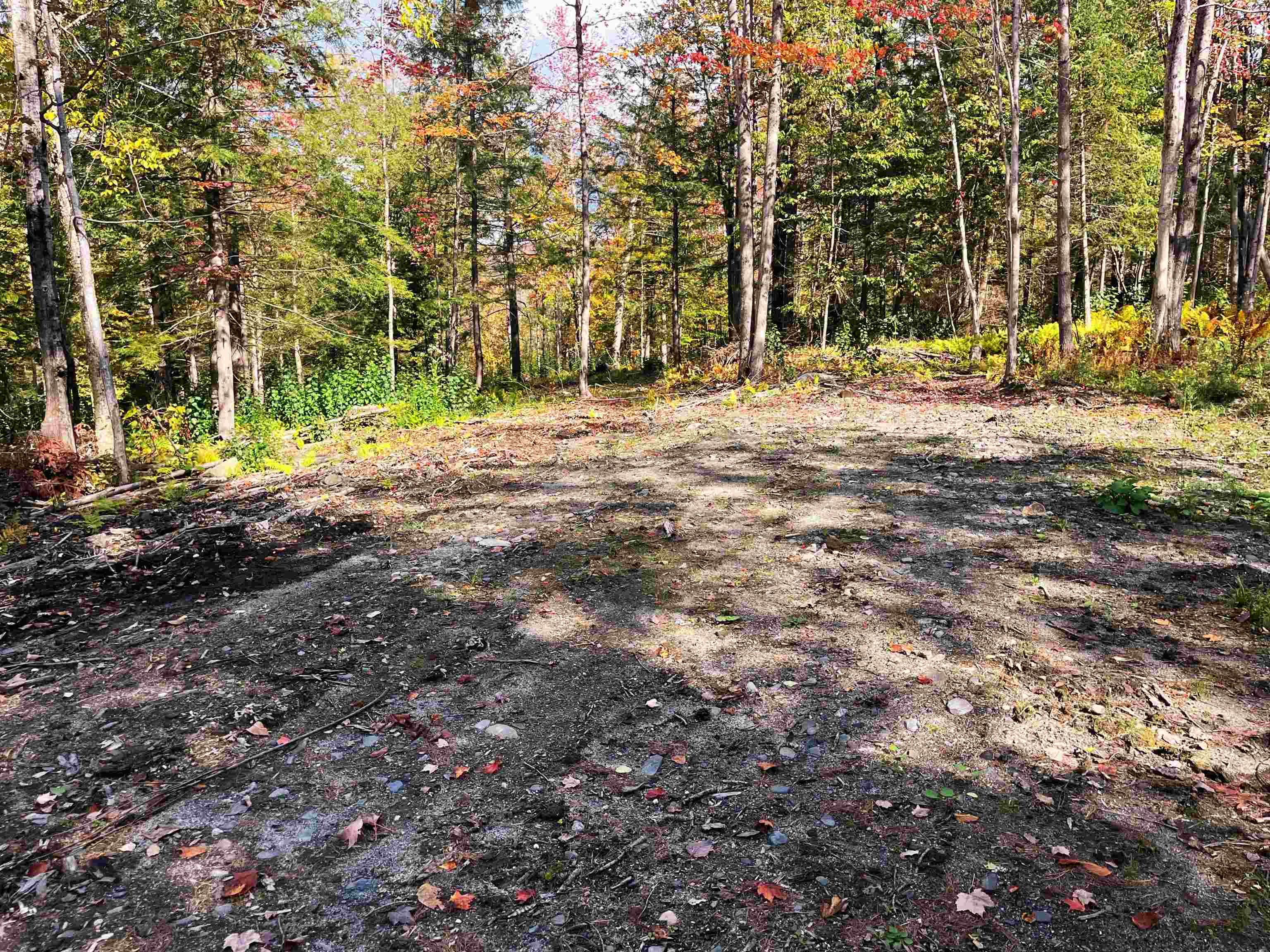 near 278 King Road Glover, VT 05875 Property 4