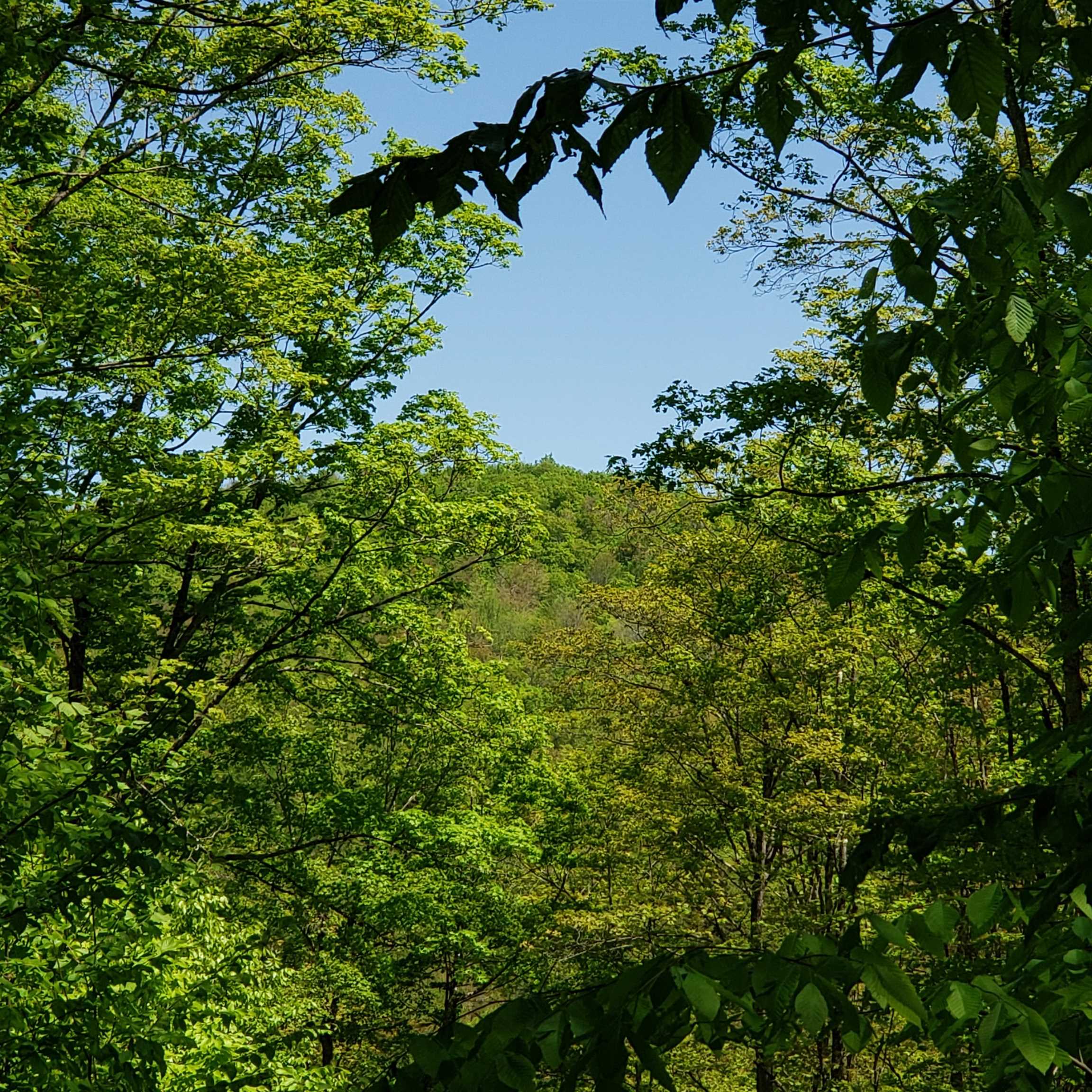 near 0 McKinley Avenue Rutland Town, VT 05701 Property 1 near 0 McKinley Avenue Rutland Town, VT 05701 Property 1