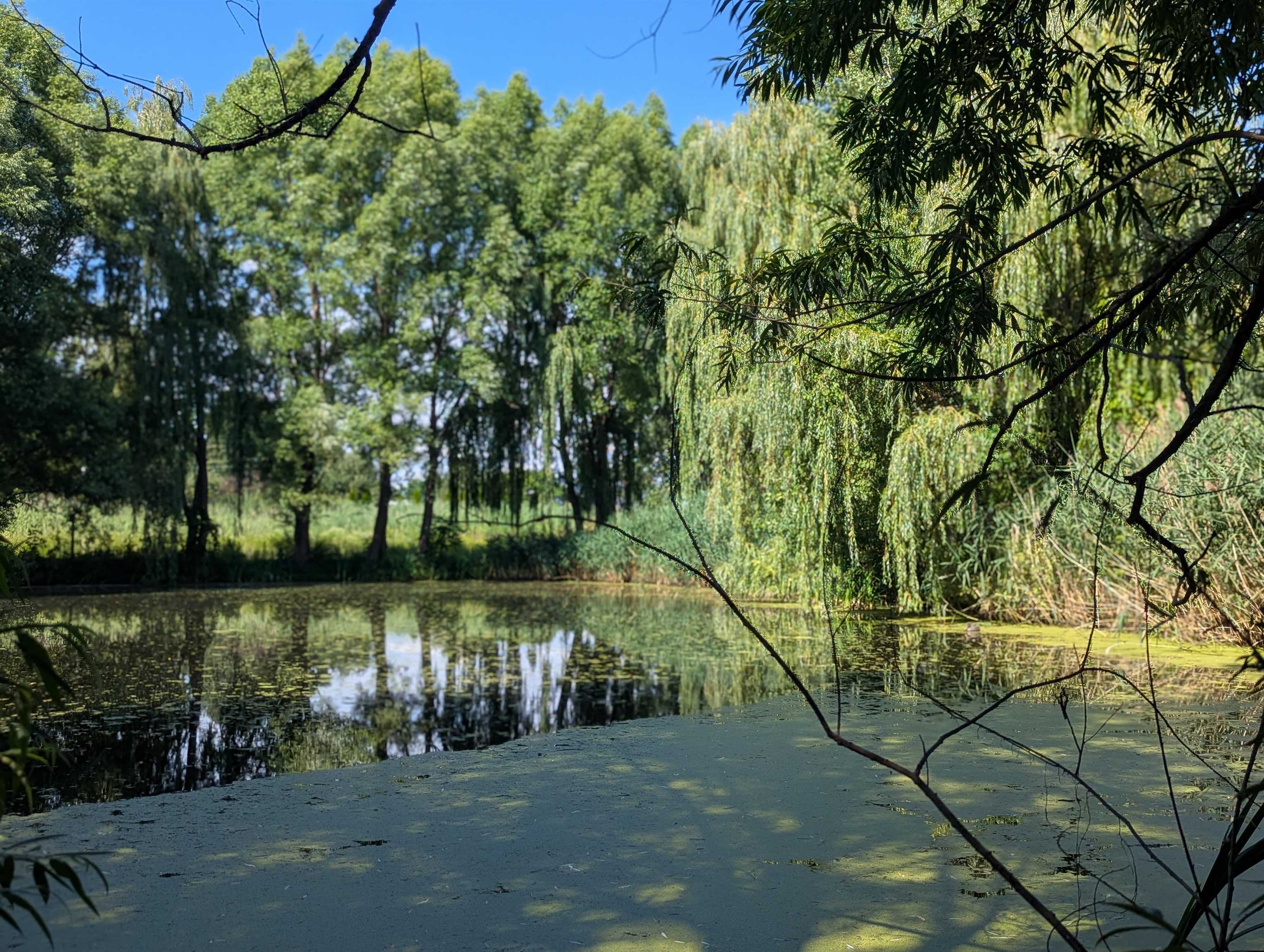 near 34 Maple Grove Estates Swanton, VT 05488 Property 2