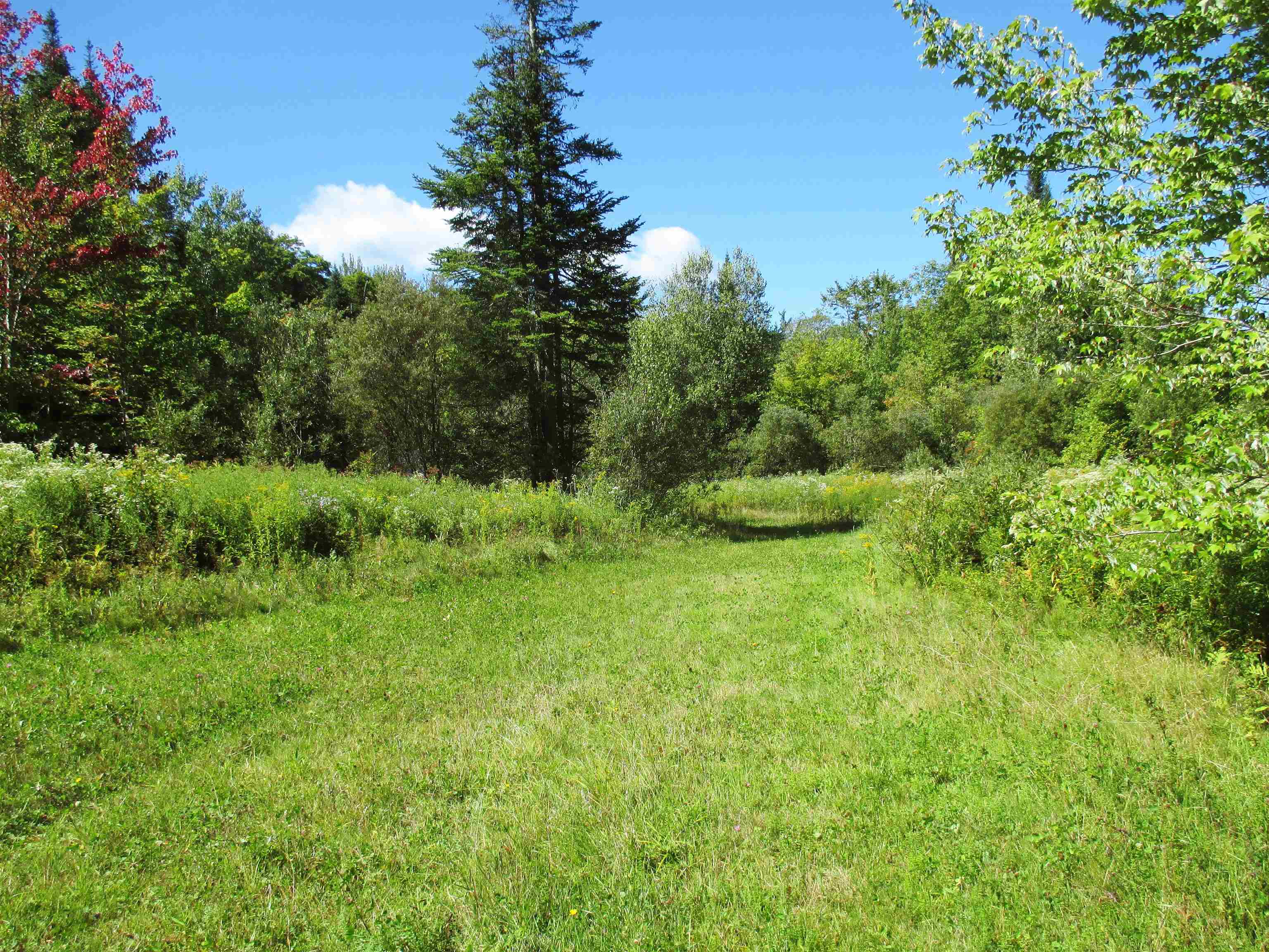 near 1103 North Road Eden, VT 05652 Property 3