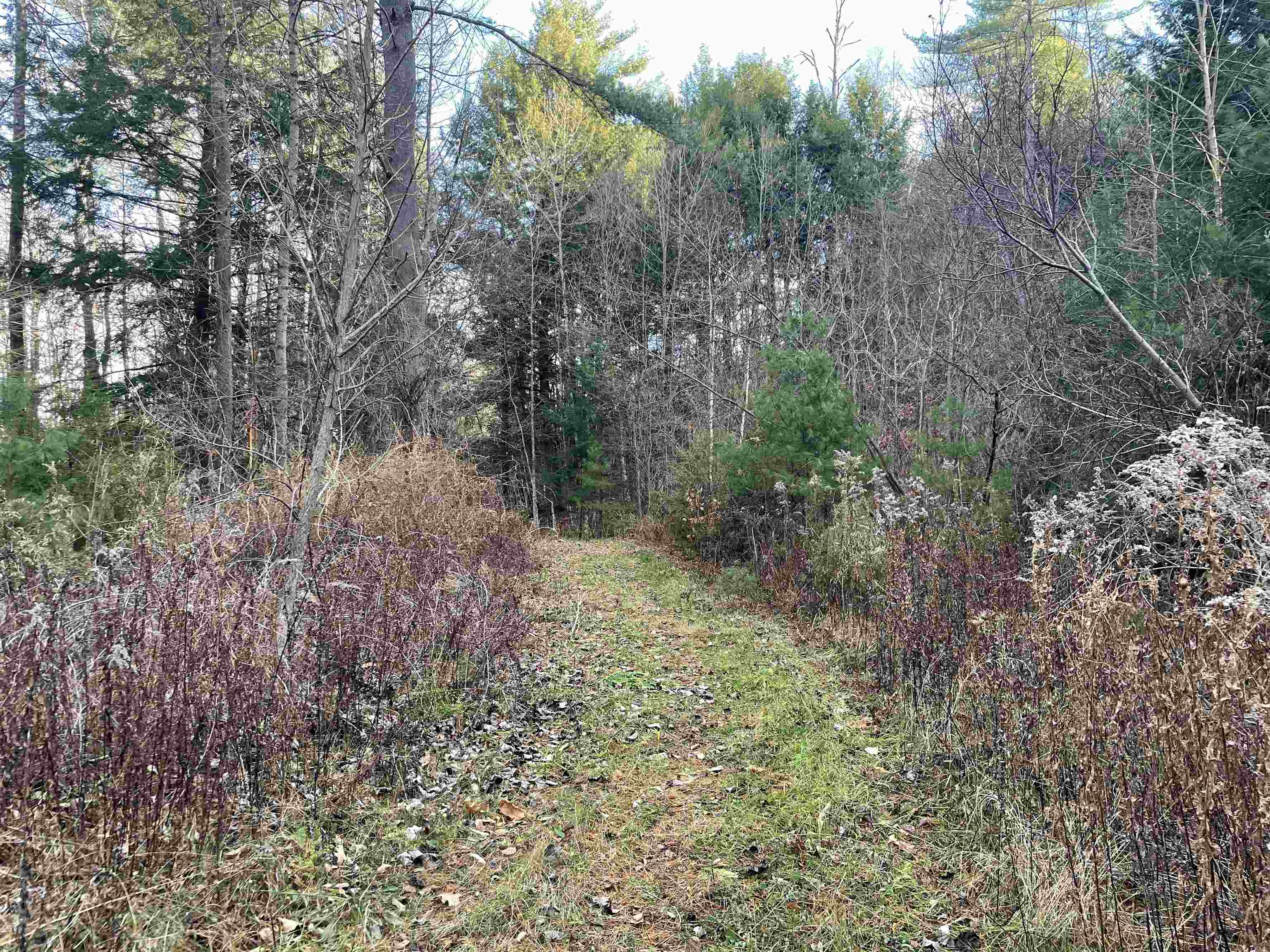 near 00 Cavendish Gulf Road Cavendish, VT 05142 Property 2