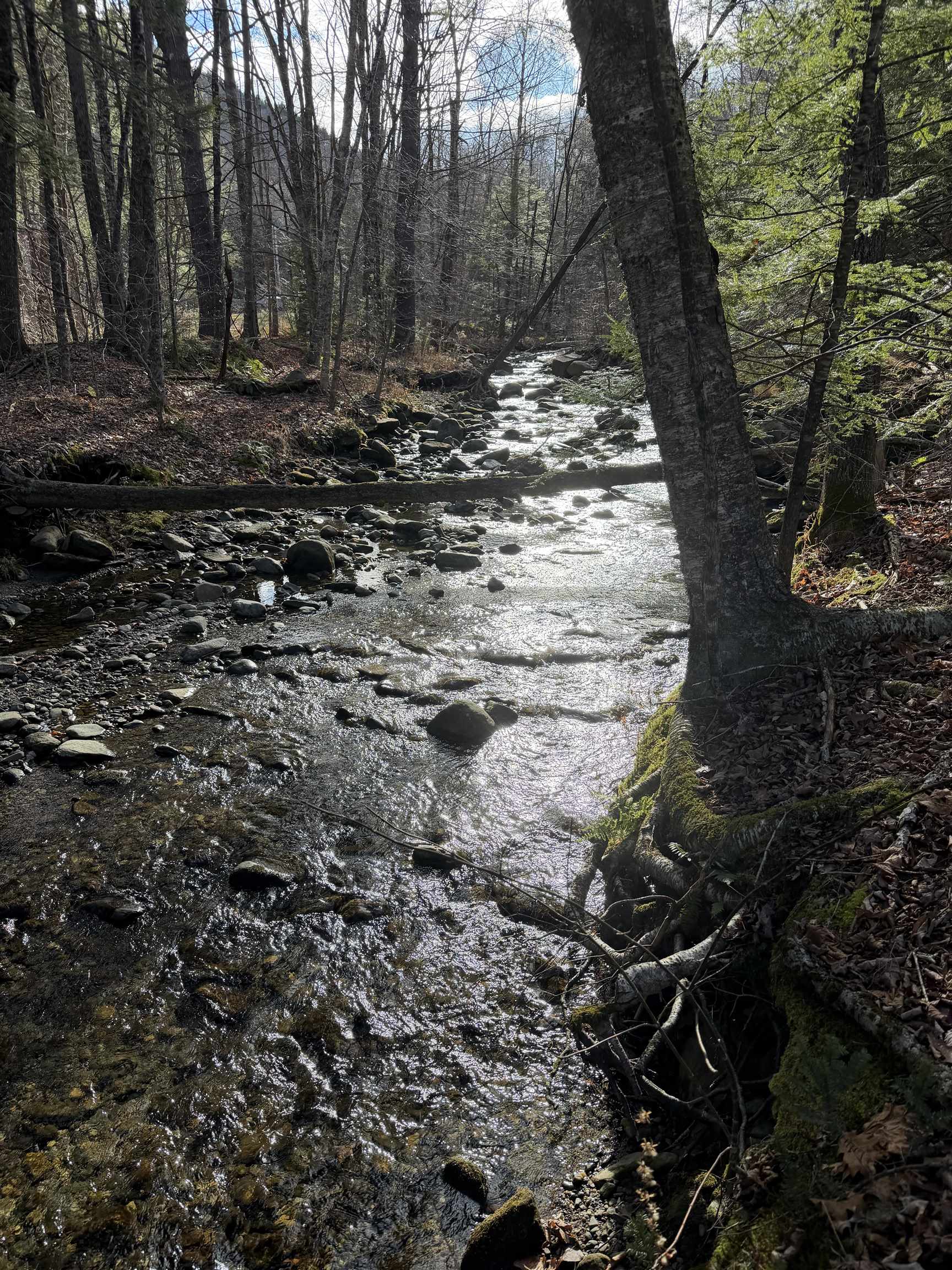 near 0 Cooke Road Brattleboro, VT 05301 Property 3
