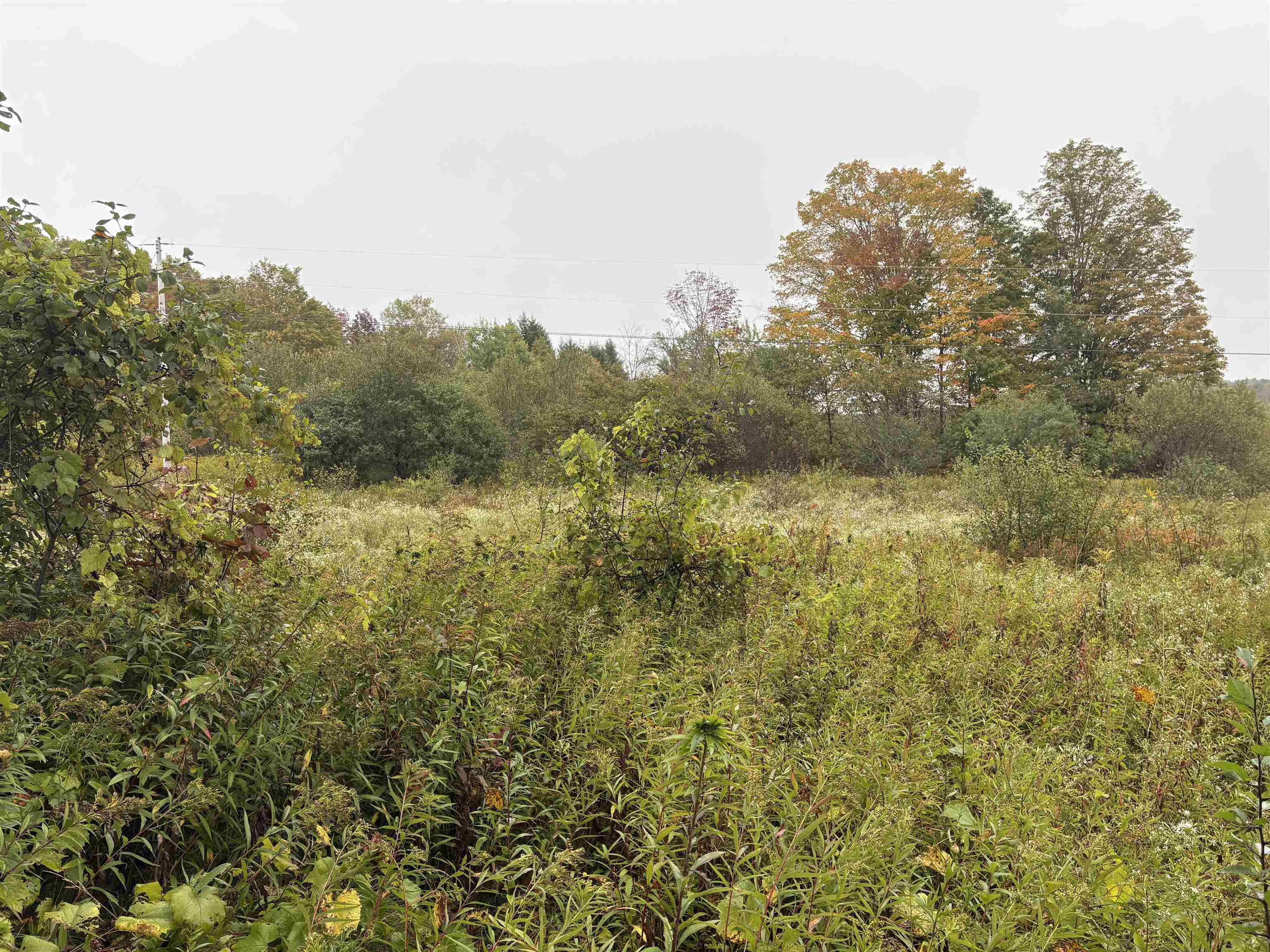 near 1350 Stellar Road Williamstown, VT 05679 Property 3 near 1350 Stellar Road Williamstown, VT 05679 Property 3