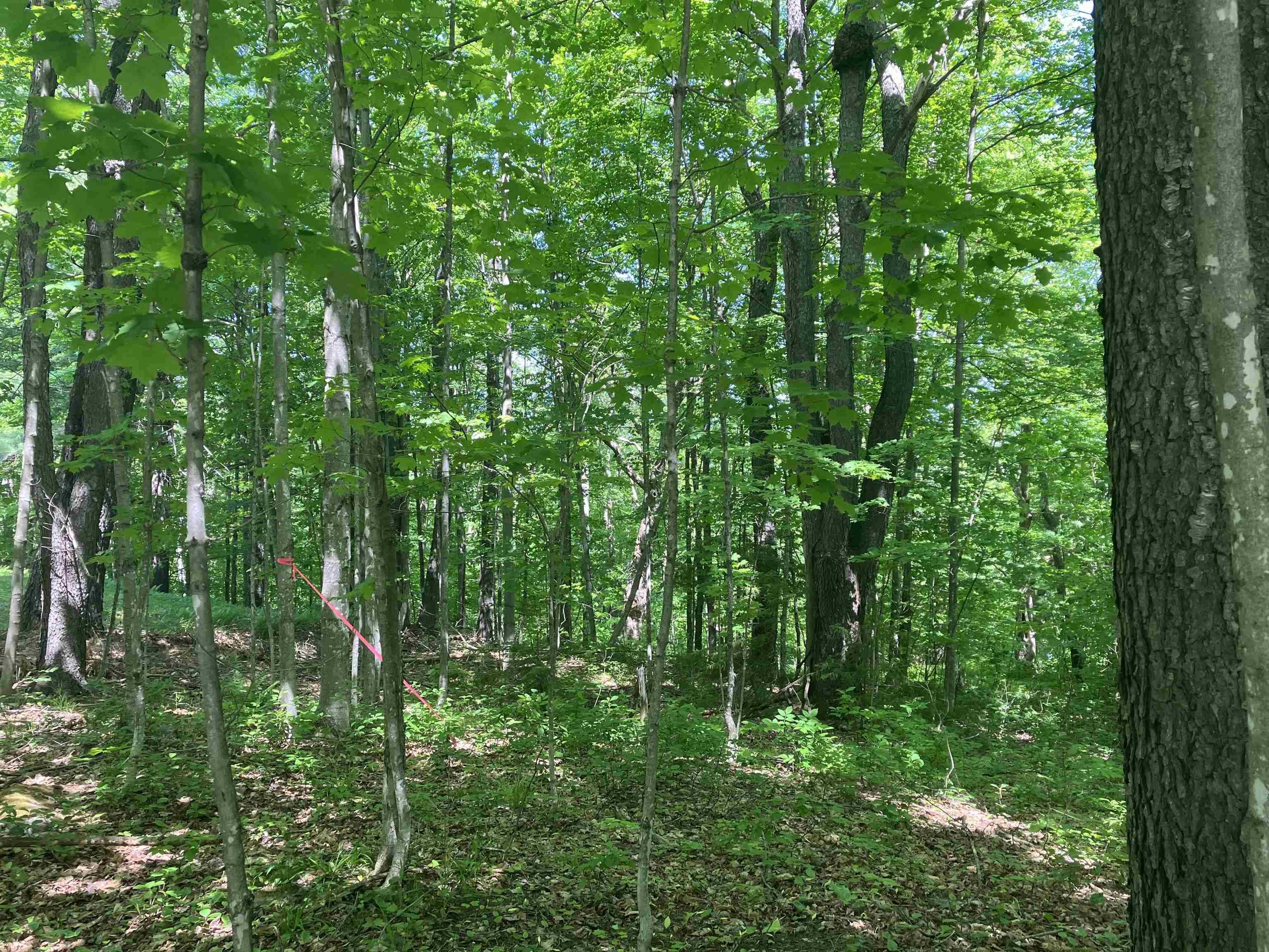 near Two Wall Way Wilmington, VT 05363-0253 Property 3