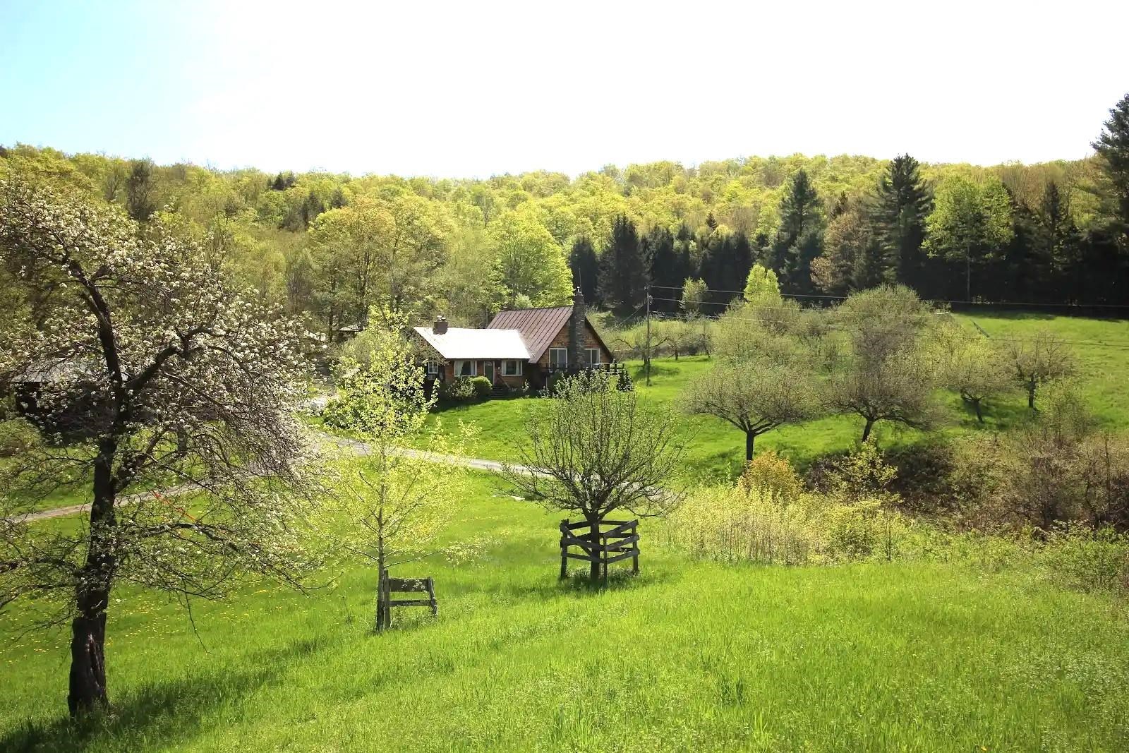 near 149 Arnold Road Bethel, VT 05032 Property 1