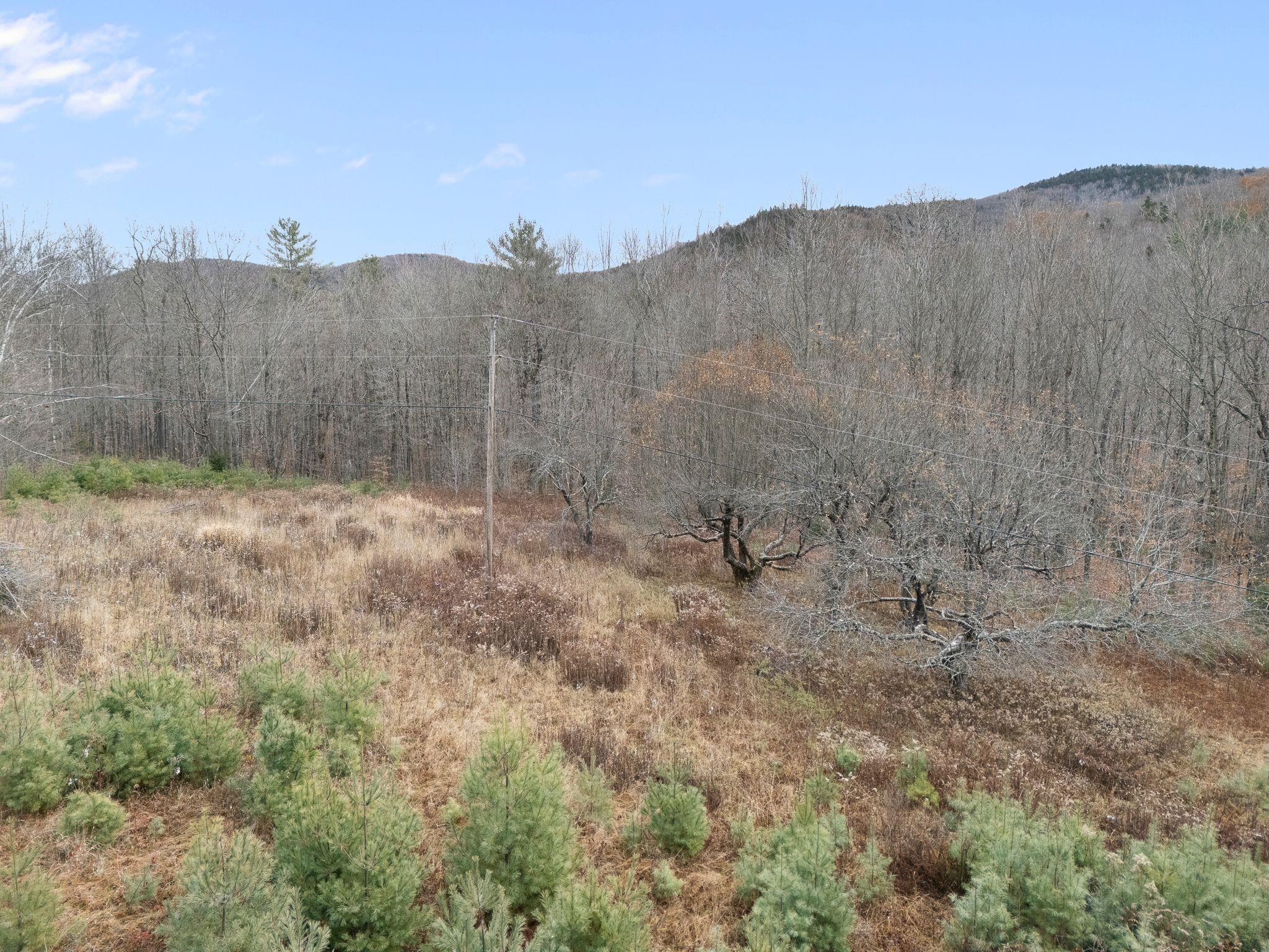 near 590 Howard Hill Road Londonderry, VT 05148 Property 3