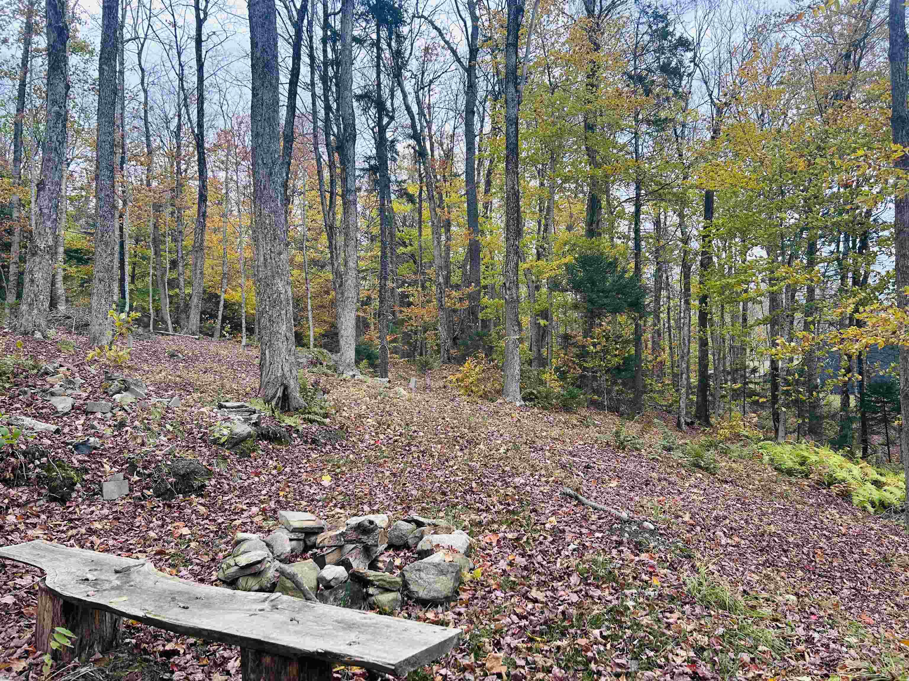 near 0 Route 30 Jamaica, VT 05343 Property 1