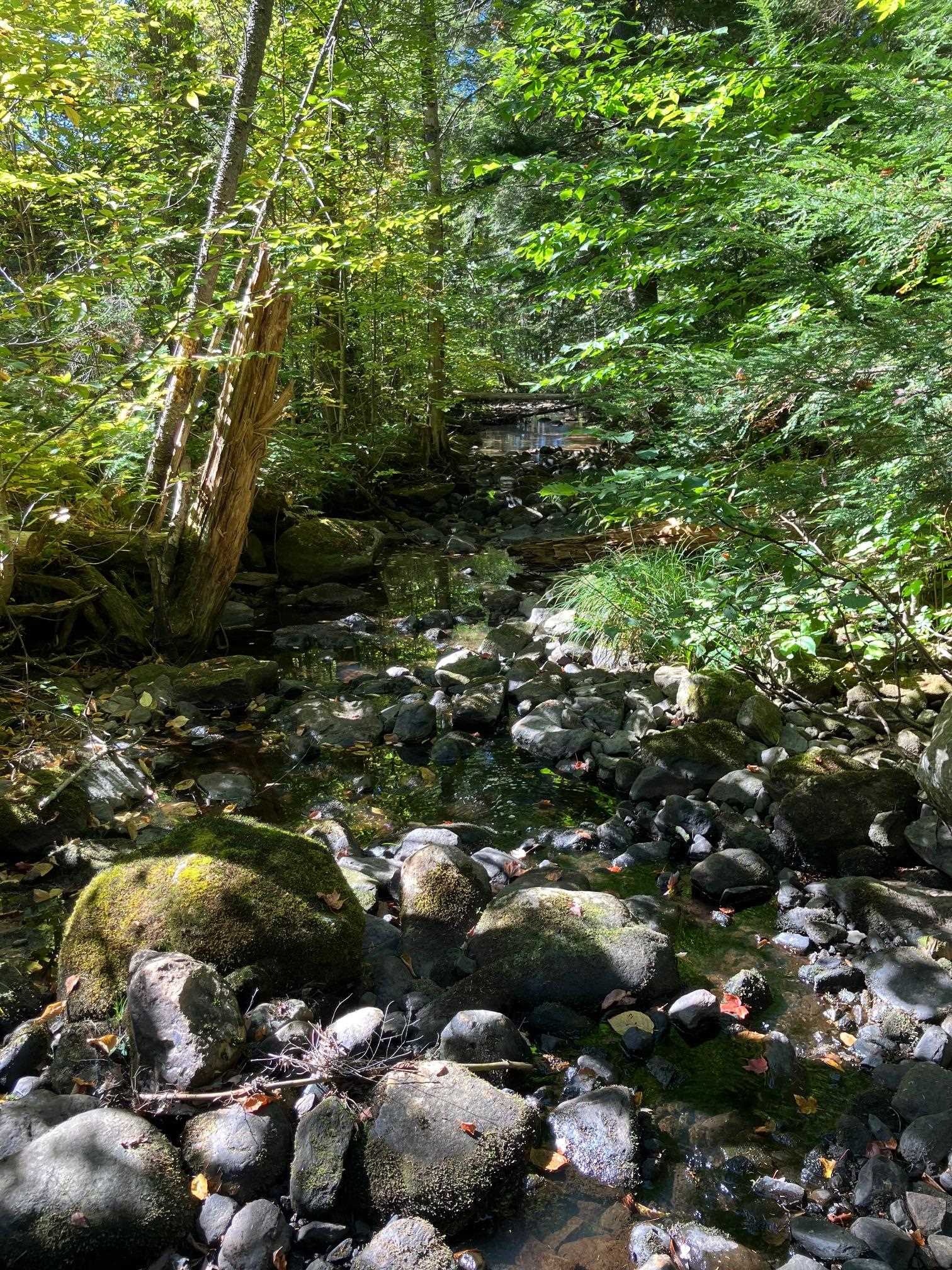 near 0 Happy Haven Road Wilmington, VT 05363 Property 2 near 0 Happy Haven Road Wilmington, VT 05363 Property 2
