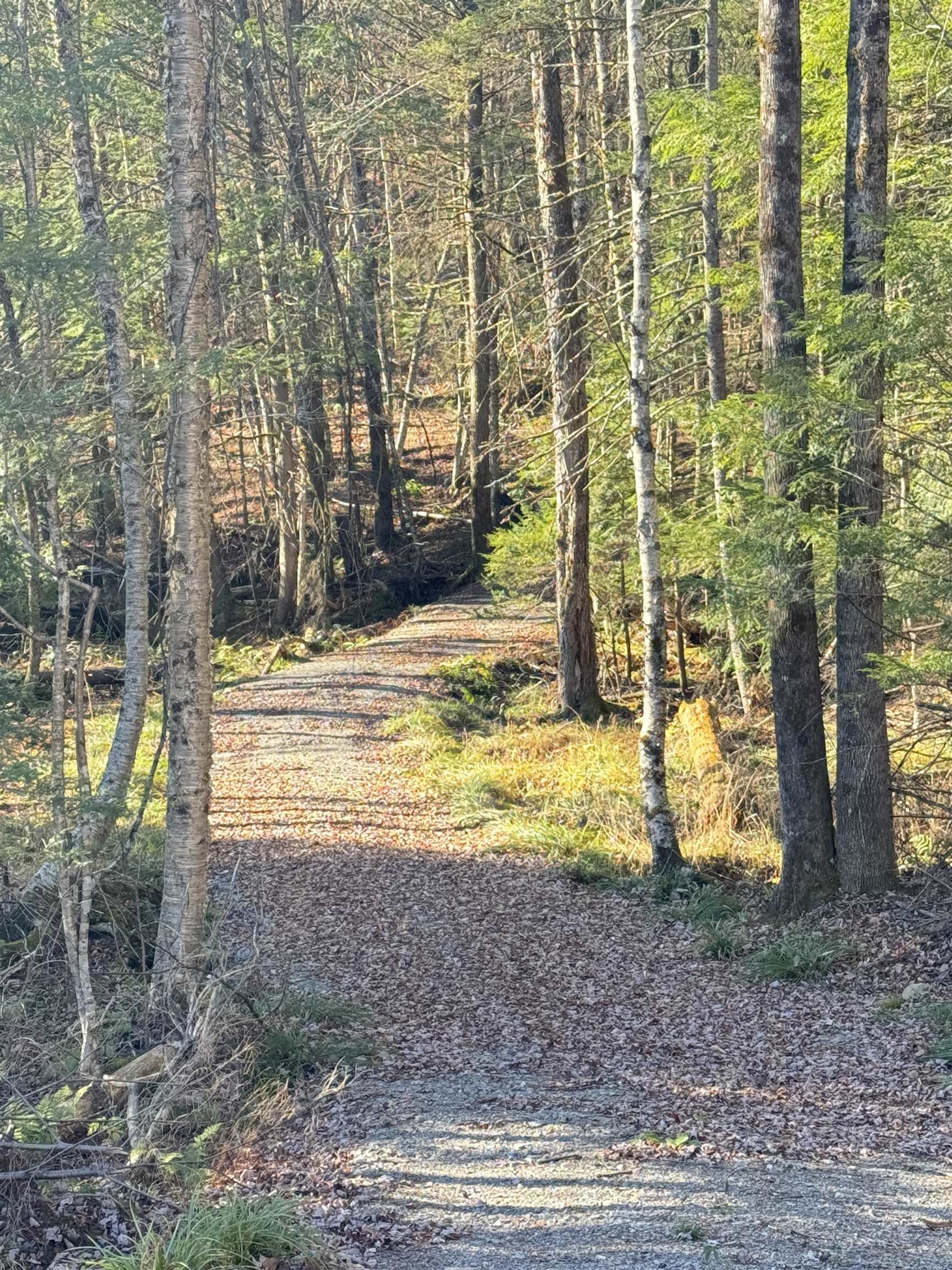 near C2 Collins Hill Johnson, VT 05661 Property 4