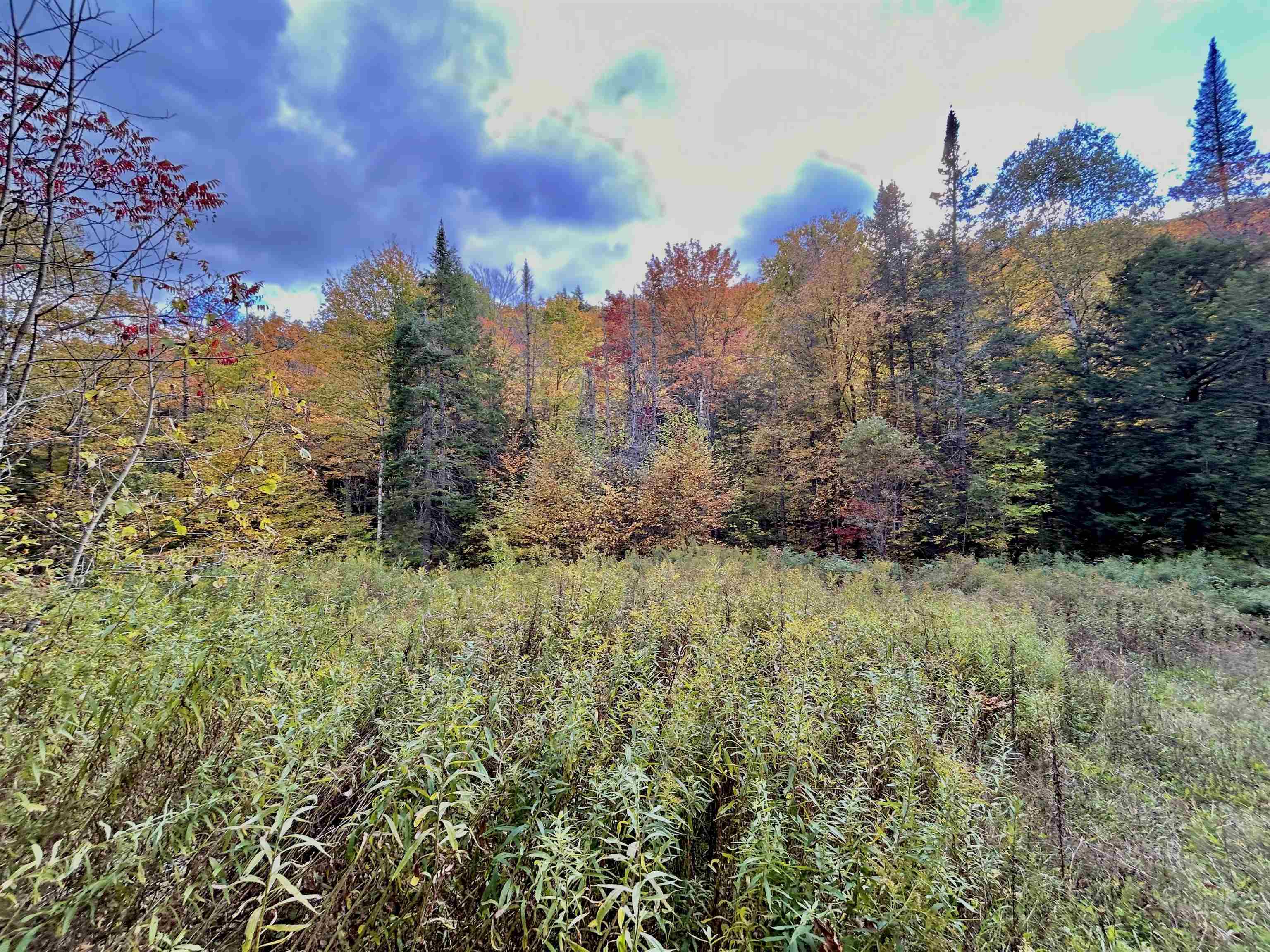 near 1340 Beaver Brook Road Corinth, VT 05039 Property 1