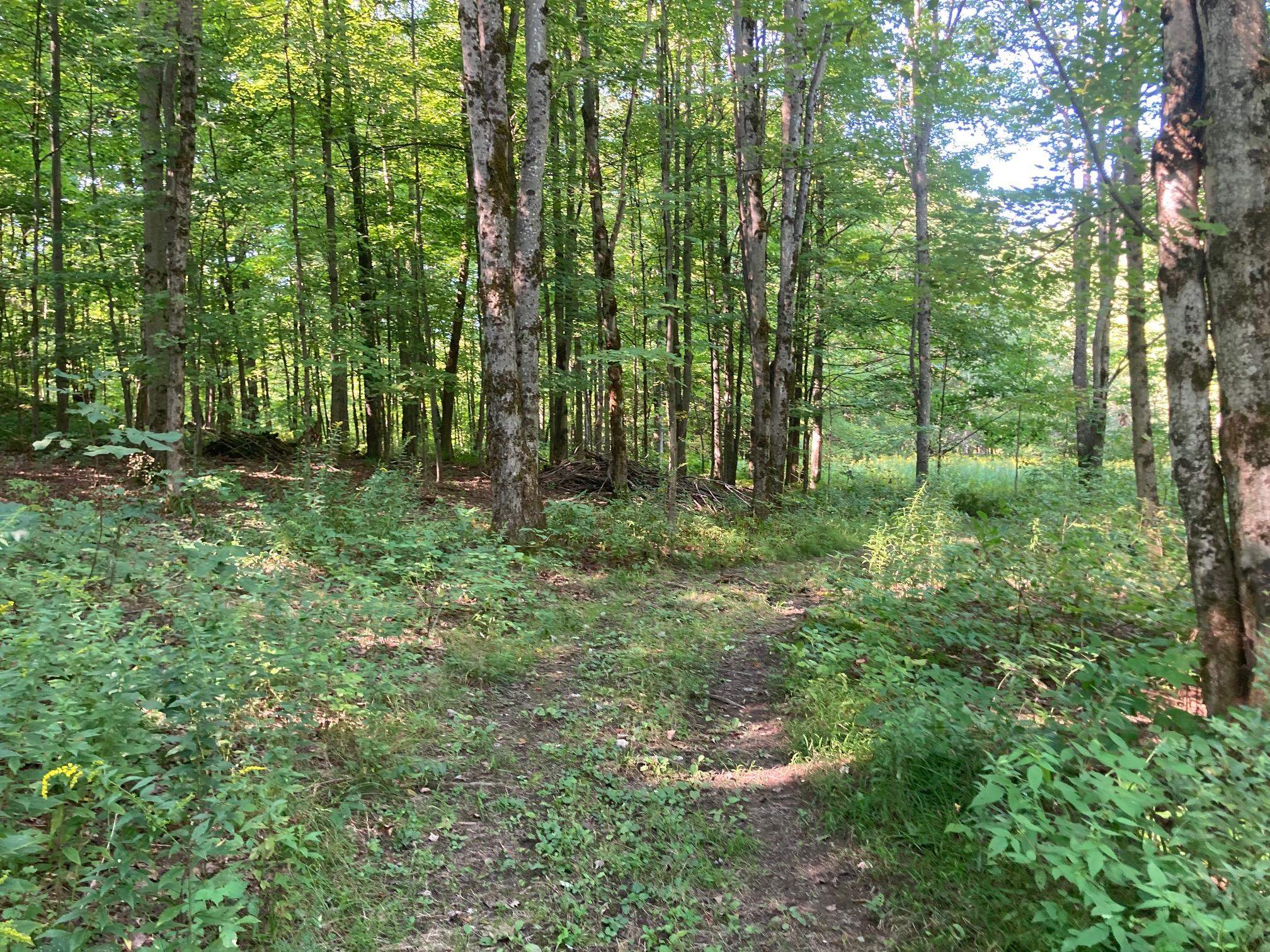 near 40 Wiggins Road Fairfax, VT 05454 Property 3