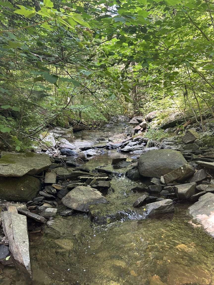 near TBD VT Route 114 Canaan, VT 05903 Property 2