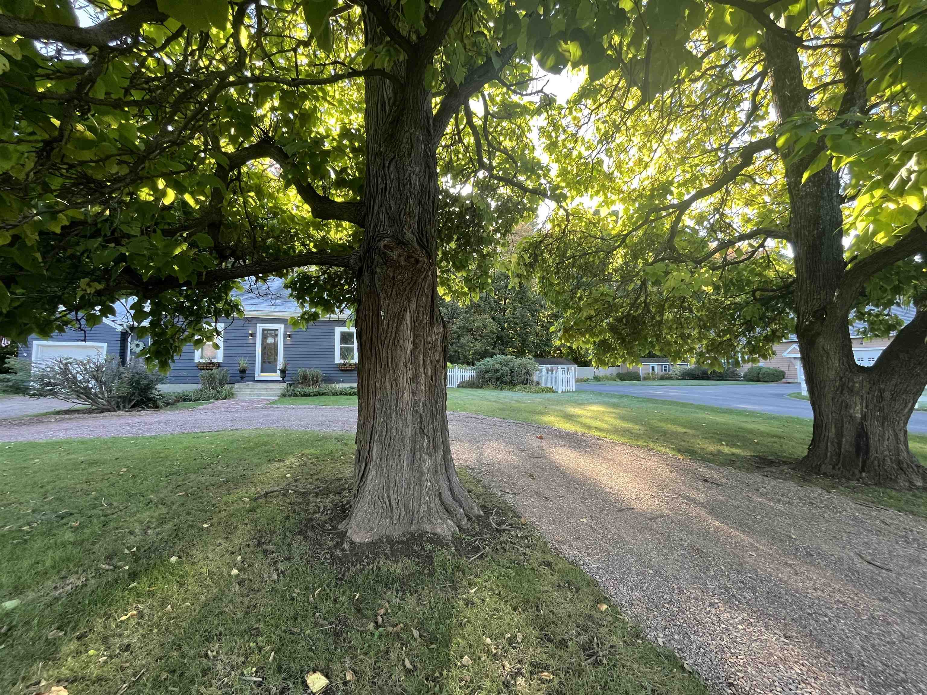 near 545 South Prospect Street Burlington, VT 05401 Property 1 near 545 South Prospect Street Burlington, VT 05401 Property 1