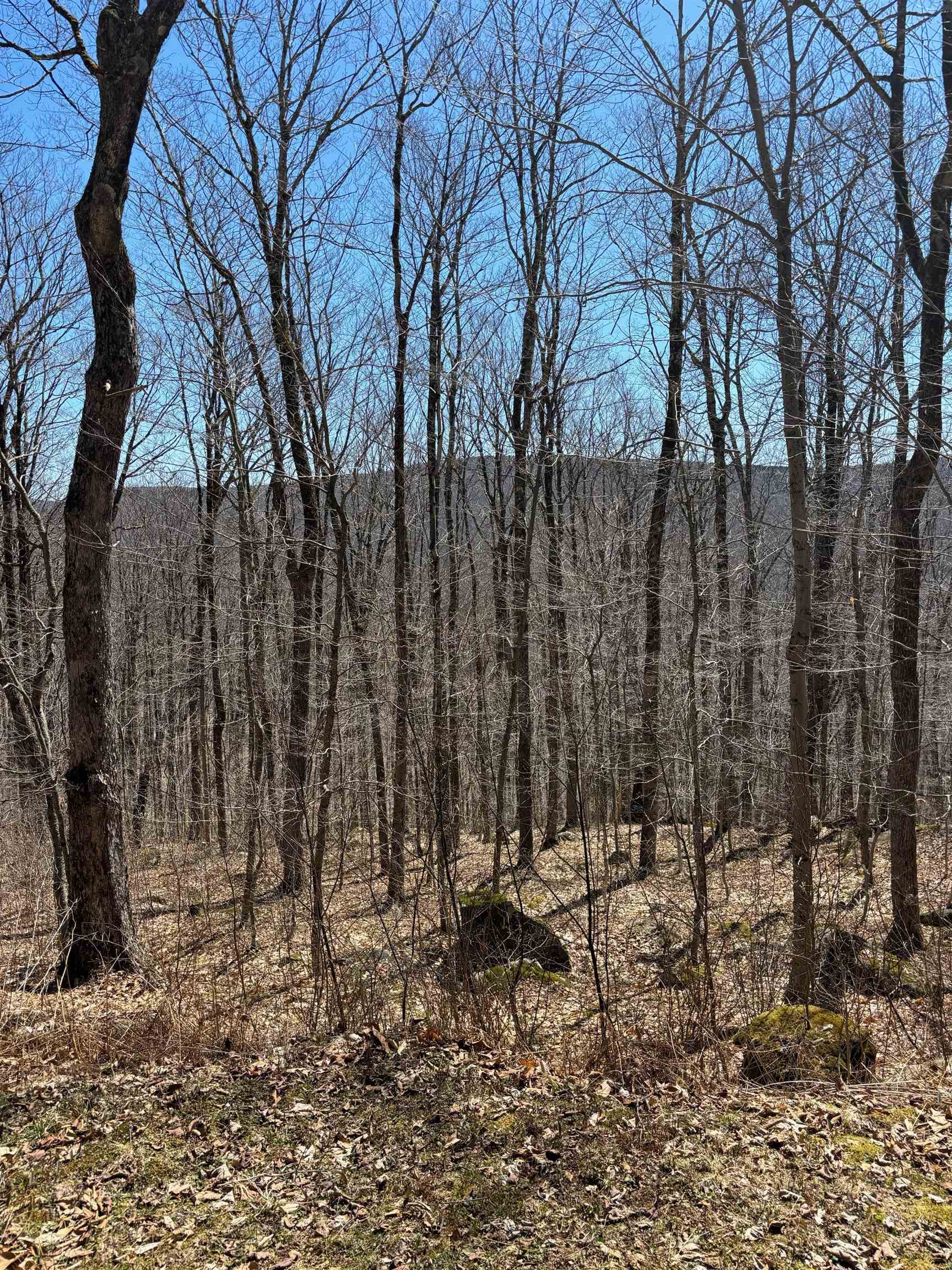 near 78 Heartwellville View Road Readsboro, VT 05350 Property 2