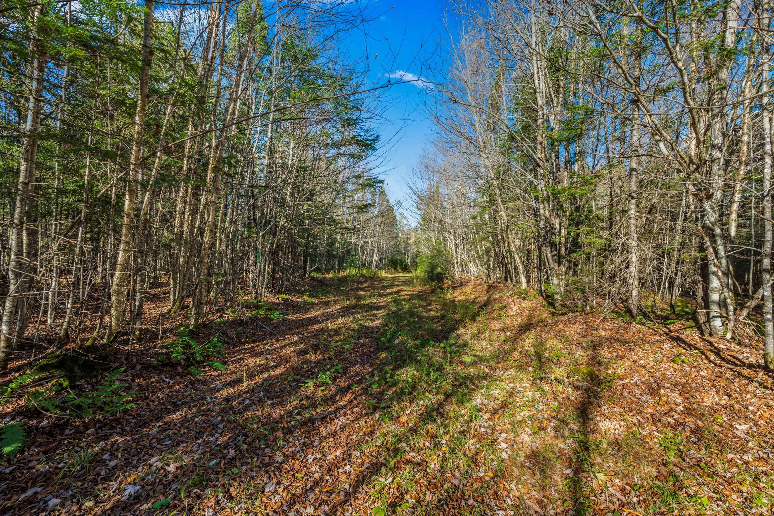near 00 Watson Road Walden, VT 05843 Property 2
