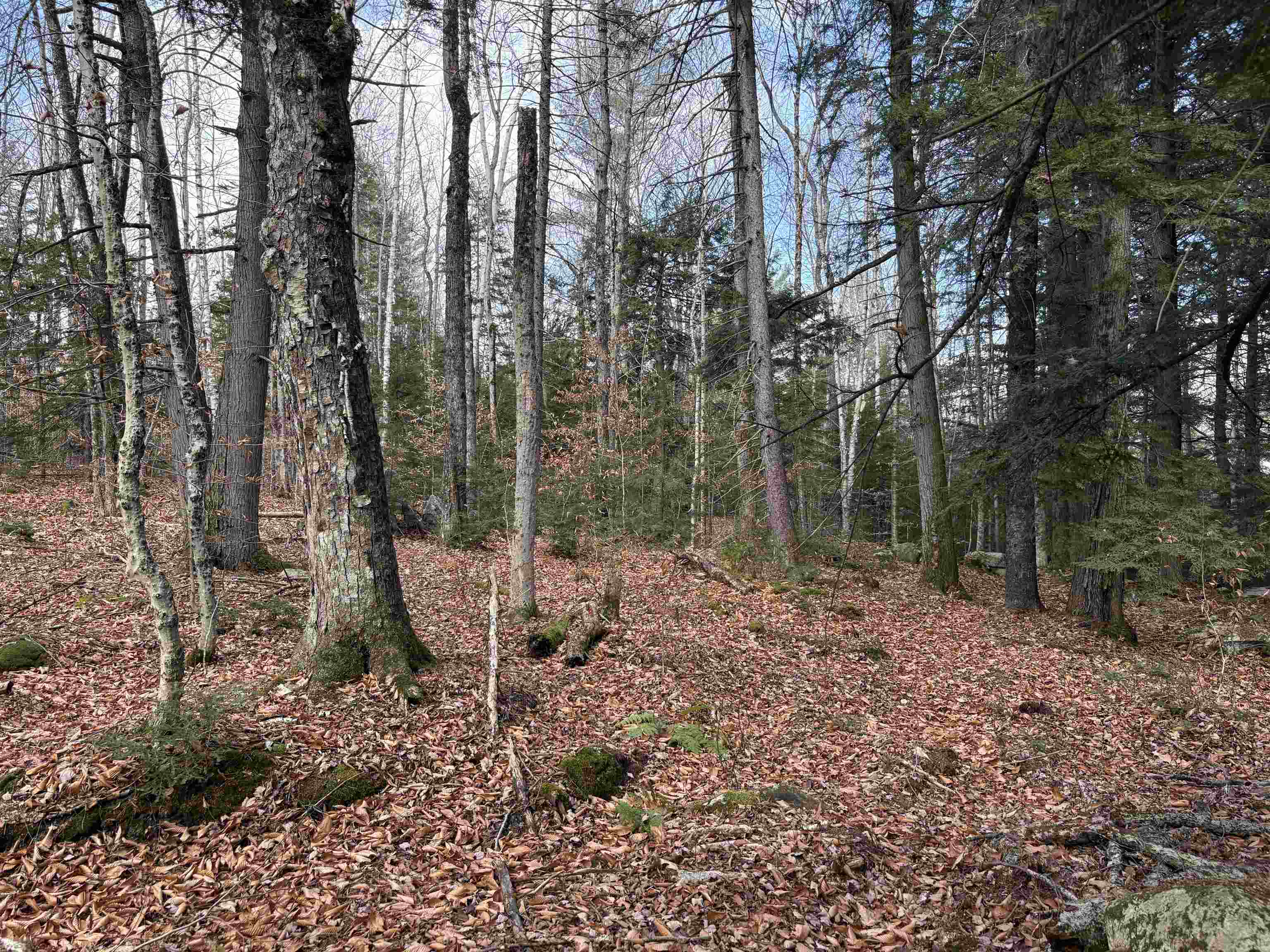 near 4 Roberts Road Winhall, VT 05340 Property 1