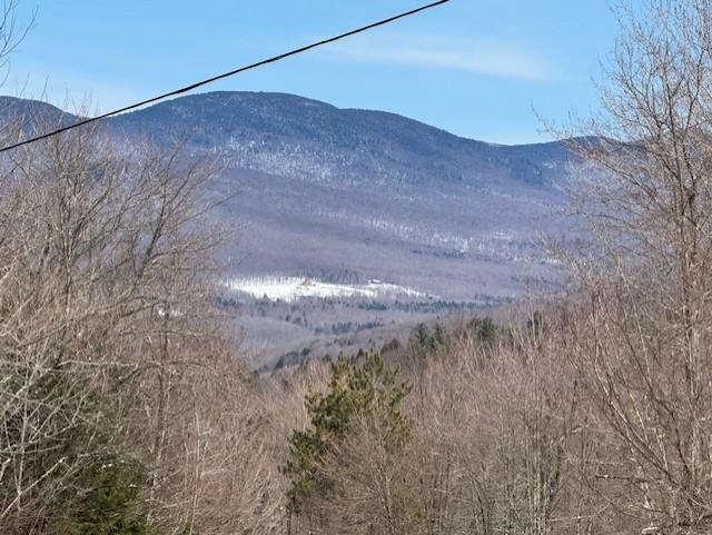 near 00 Thomas Drive Montgomery, VT 05471 Property 2
