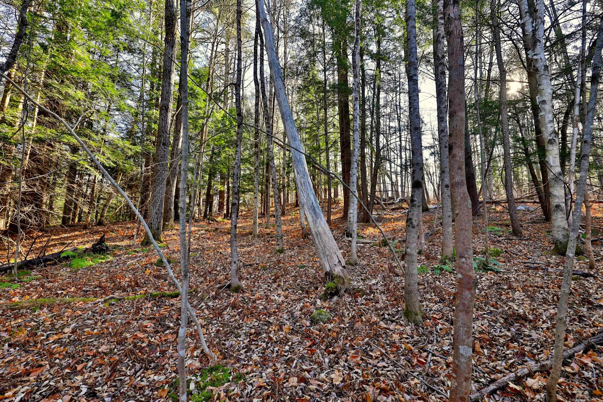 near Lot 2A Preedom Hill Road North Ludlow, VT 05149 Property 1