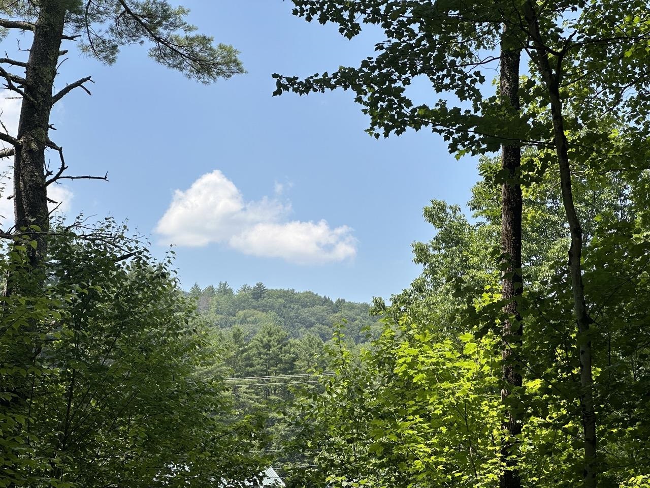 near 00 Simonsville Road Andover, VT 05143 Property 1 near 00 Simonsville Road Andover, VT 05143 Property 1