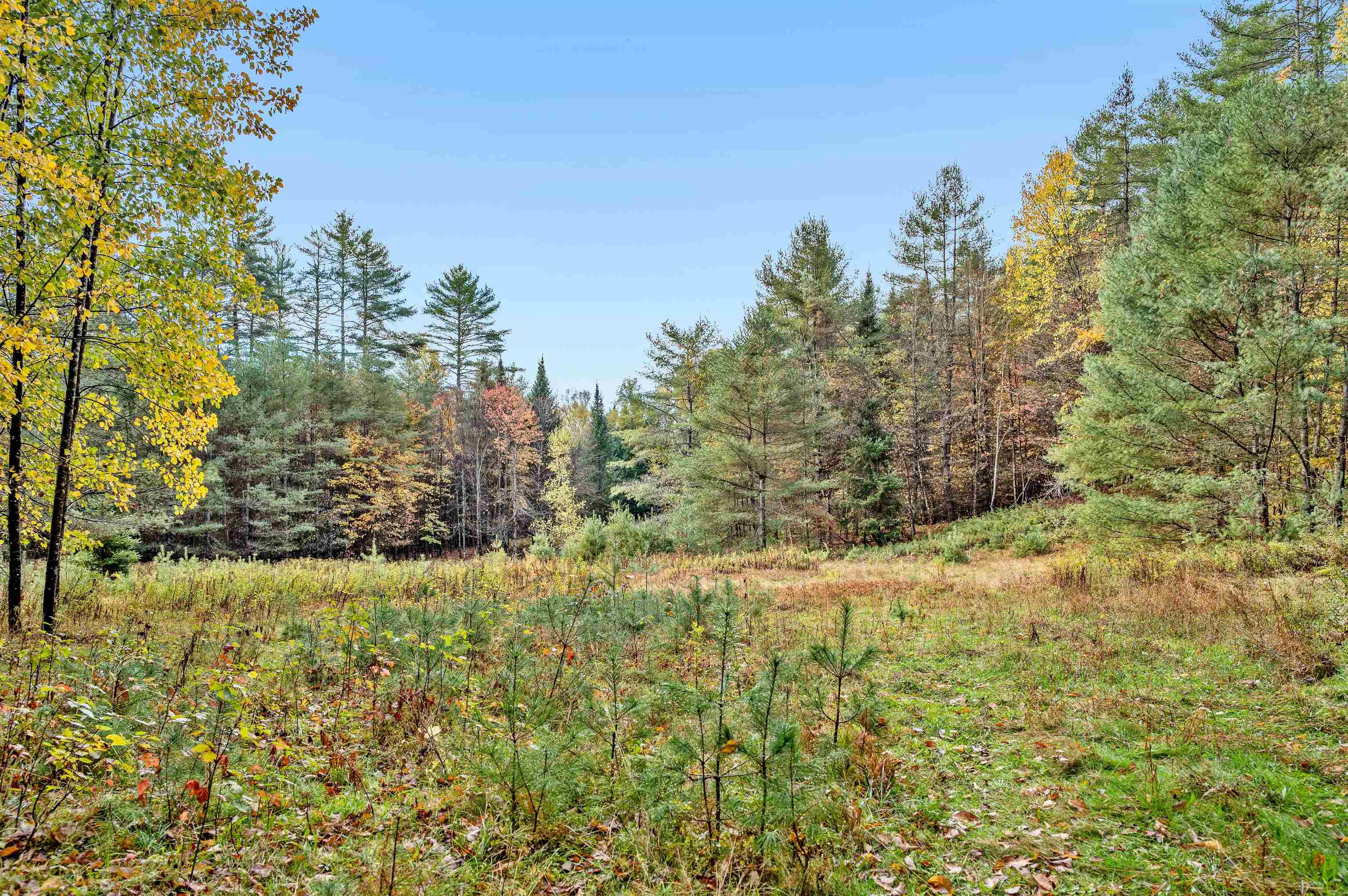 near 00 Fitch Road East Montpelier, VT 05651 Property 2 near 00 Fitch Road East Montpelier, VT 05651 Property 2