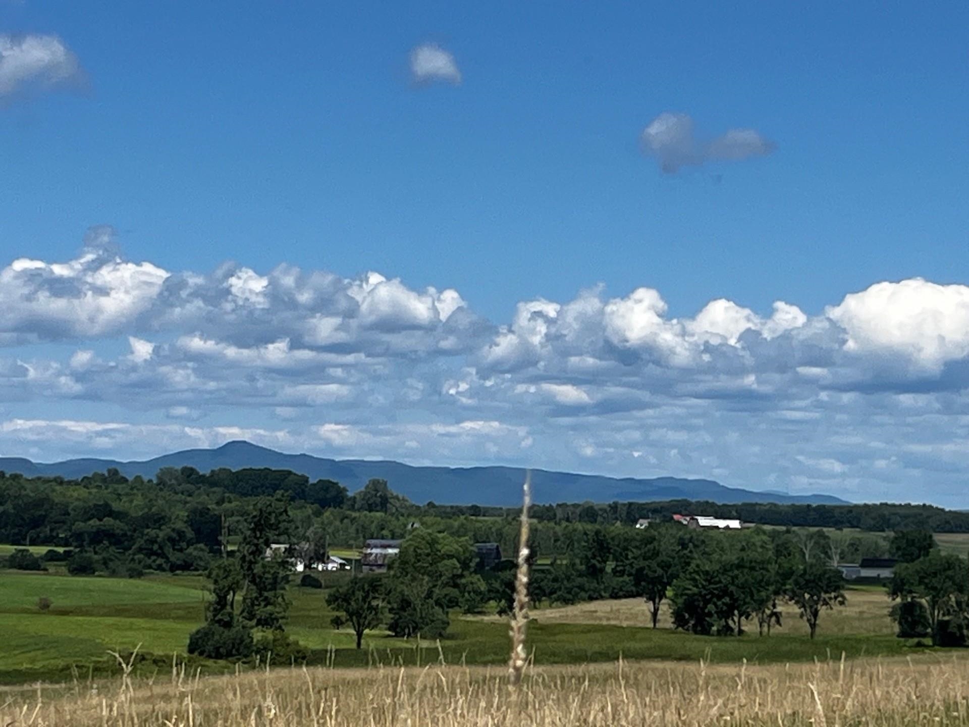 near 1650 Crown Point Road Bridport, VT 05734 Property 1