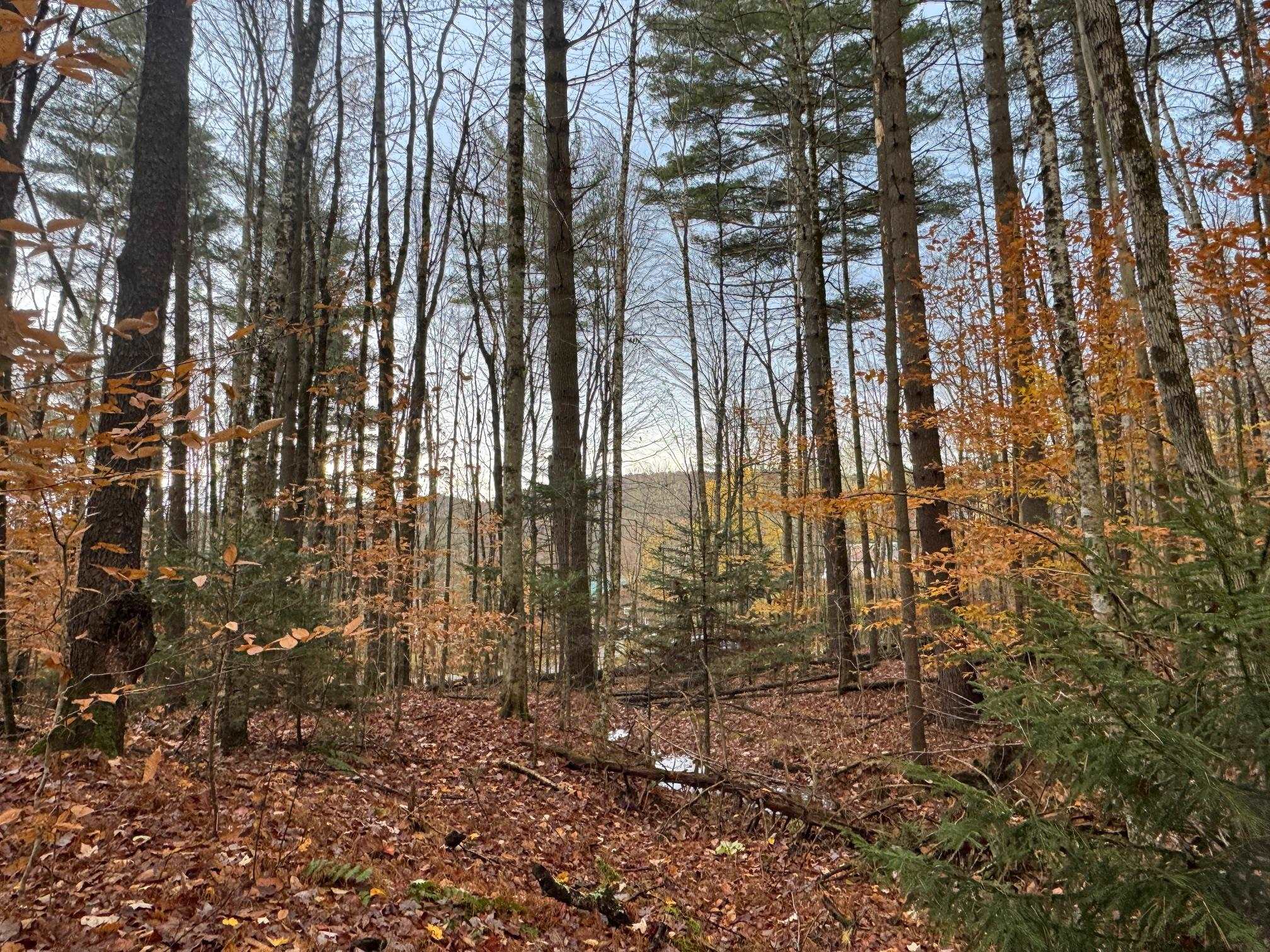 near 10 Hampshire Hill Road Worcester, VT 05682 Property 3