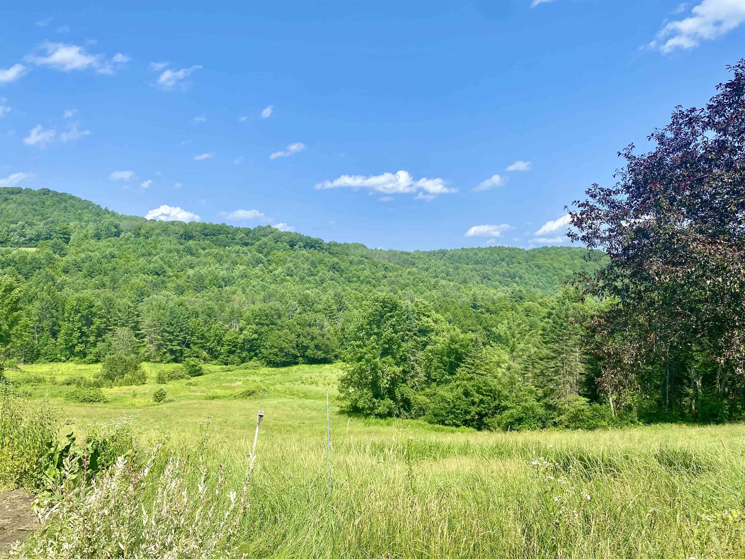 near 7868 Pomfret Road Pomfret, VT 05053 Property 2