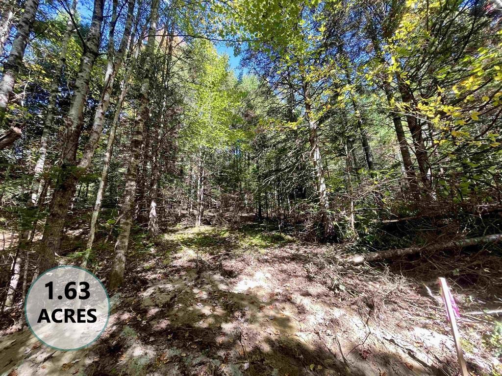near 0 Joanne Drive Burke, VT 05832 Property 1 near 0 Joanne Drive Burke, VT 05832 Property 1