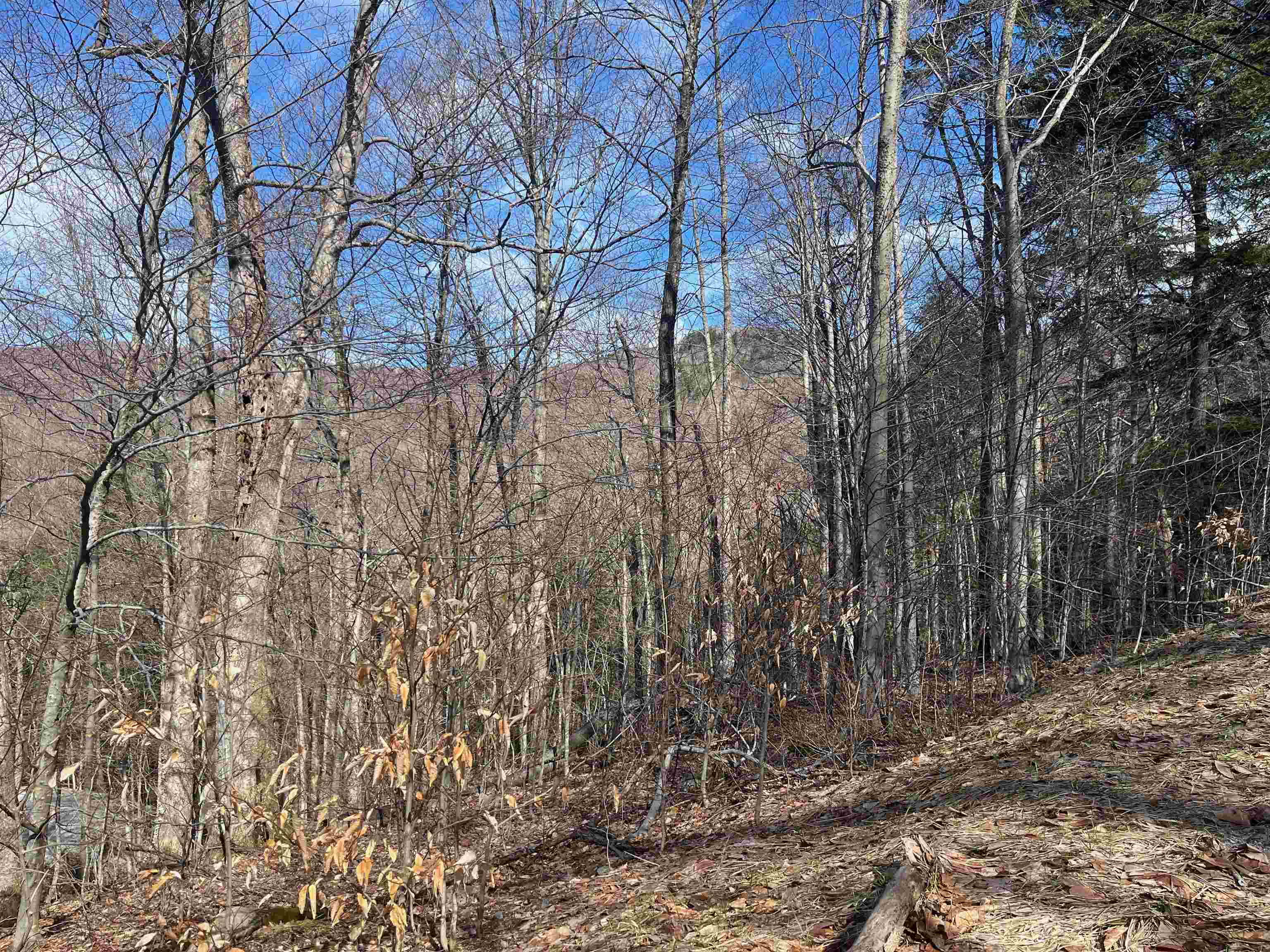 near S-1B Great Roaring Brook Road Plymouth, VT 05056 Property 1
