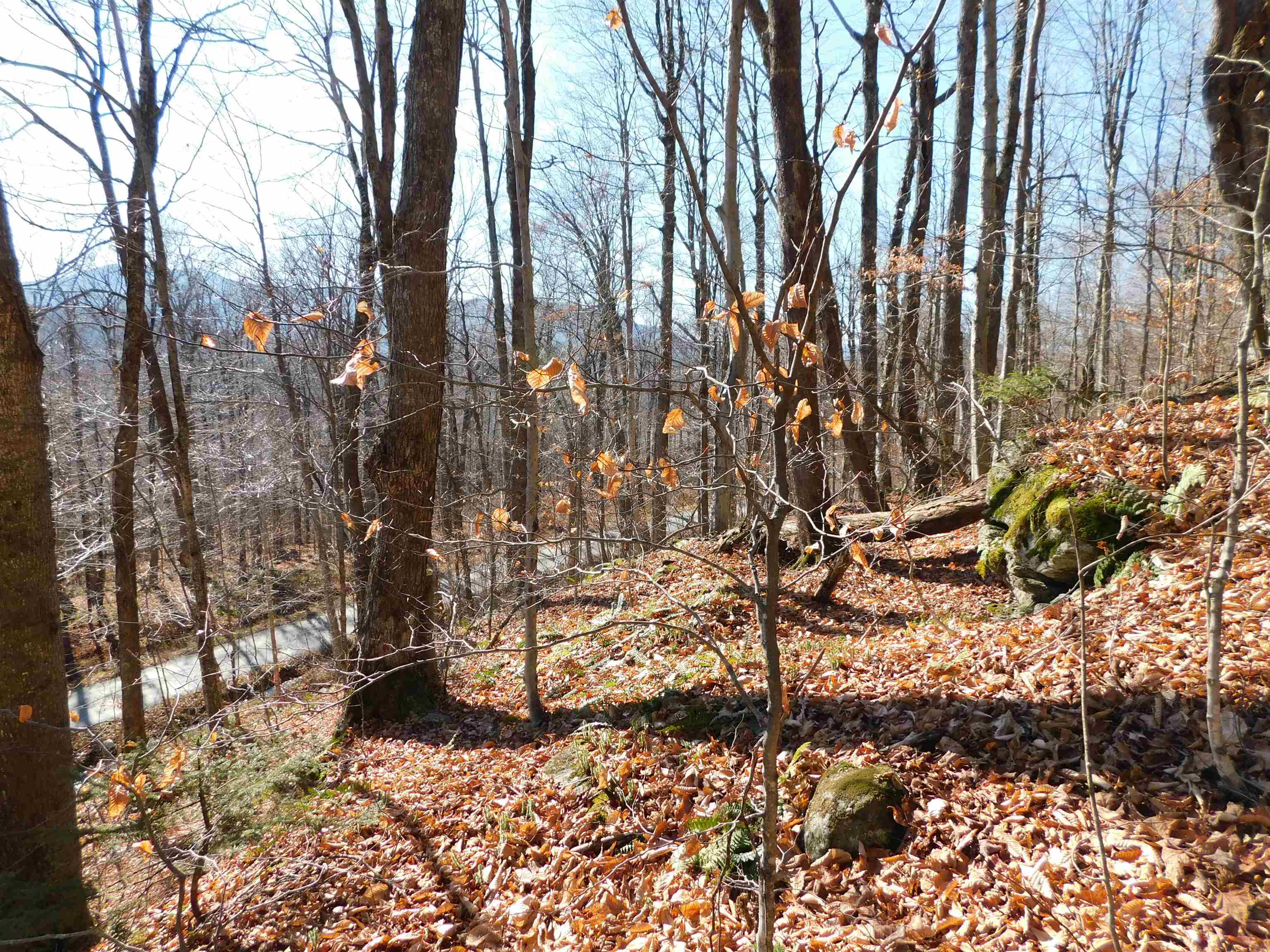 near 00 Highland Drive Montgomery, VT 05471 Property 2