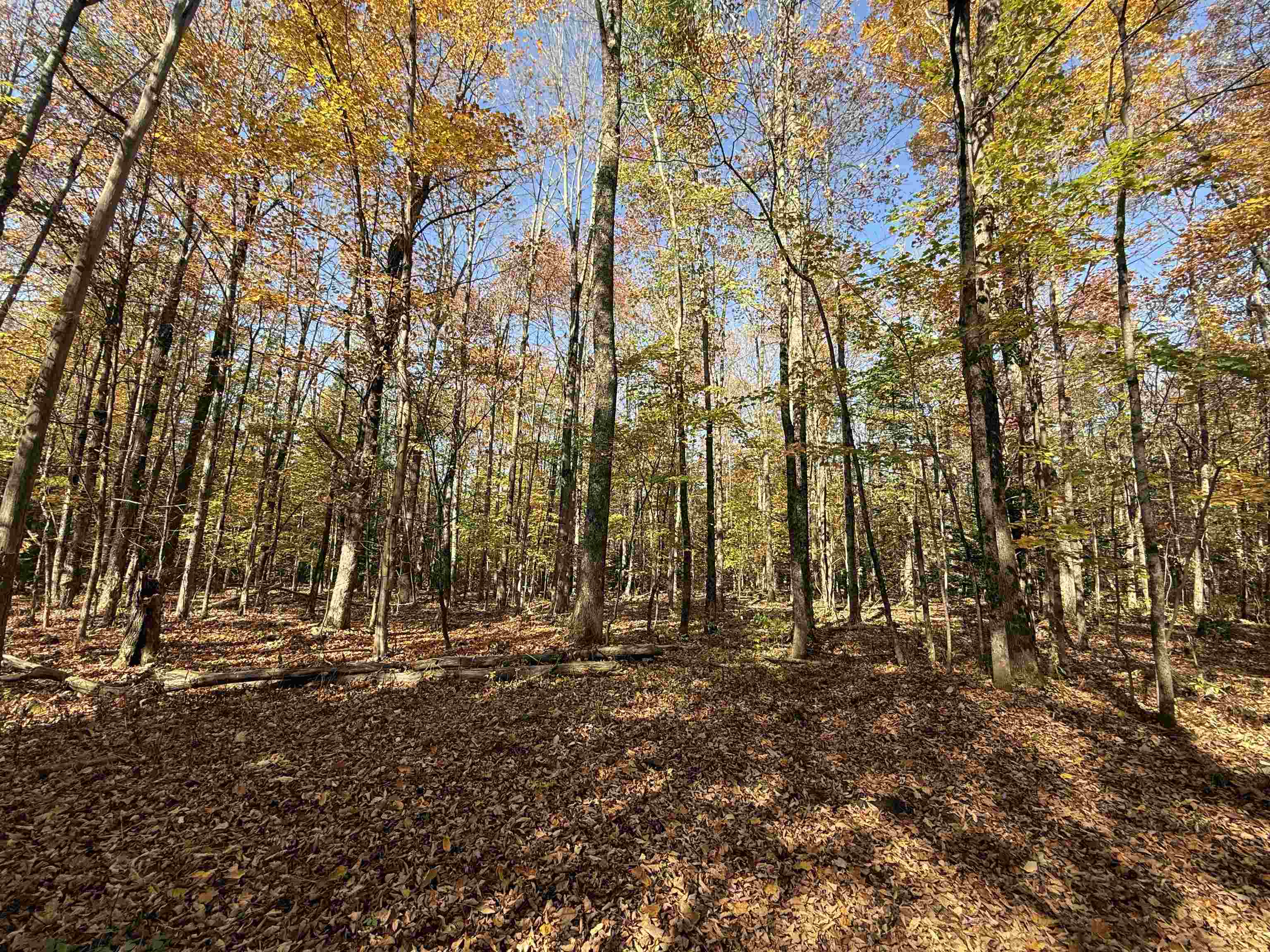 near 0 Poutre Drive Irasburg, VT 05845 Property 1 near 0 Poutre Drive Irasburg, VT 05845 Property 1