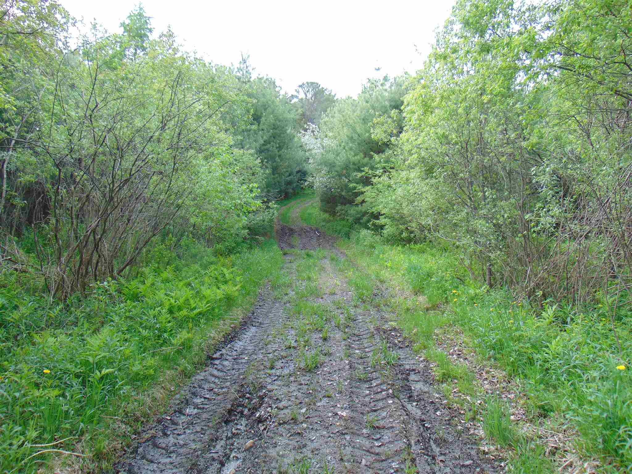 near TBD Bradley Vale Road Concord, VT 05906 Property 1