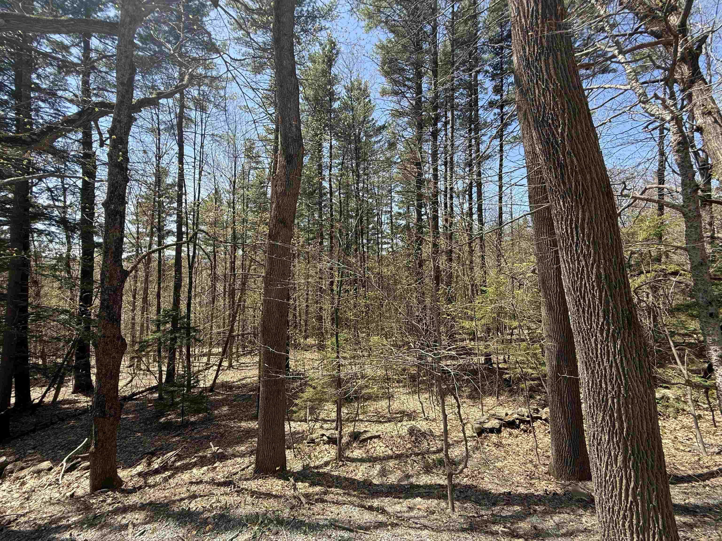 near 0 Boardman Loop Wardsboro, VT 05360 Property 4