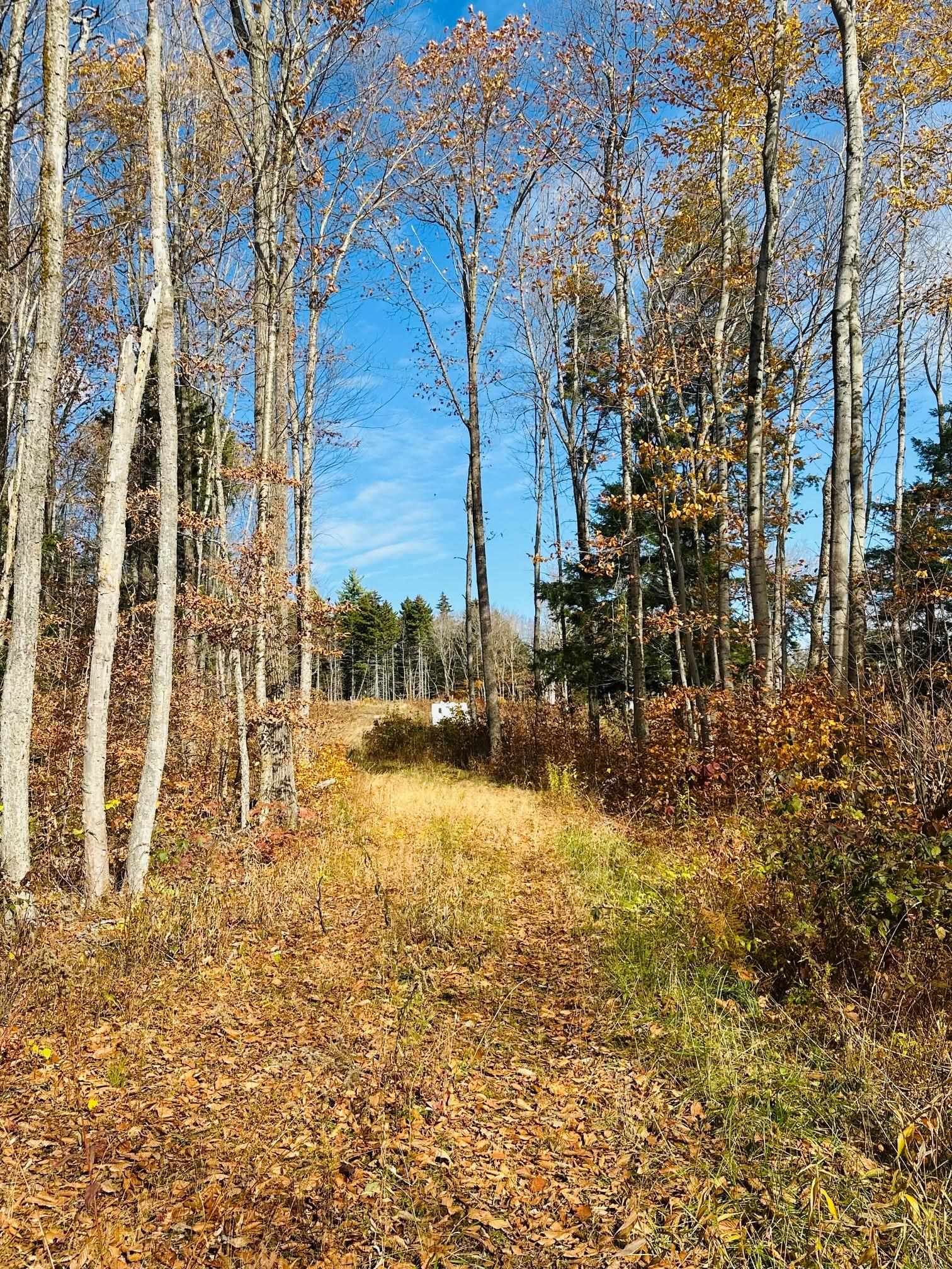 near 41 Rice Hill Road Dover, VT 05341 Property 2