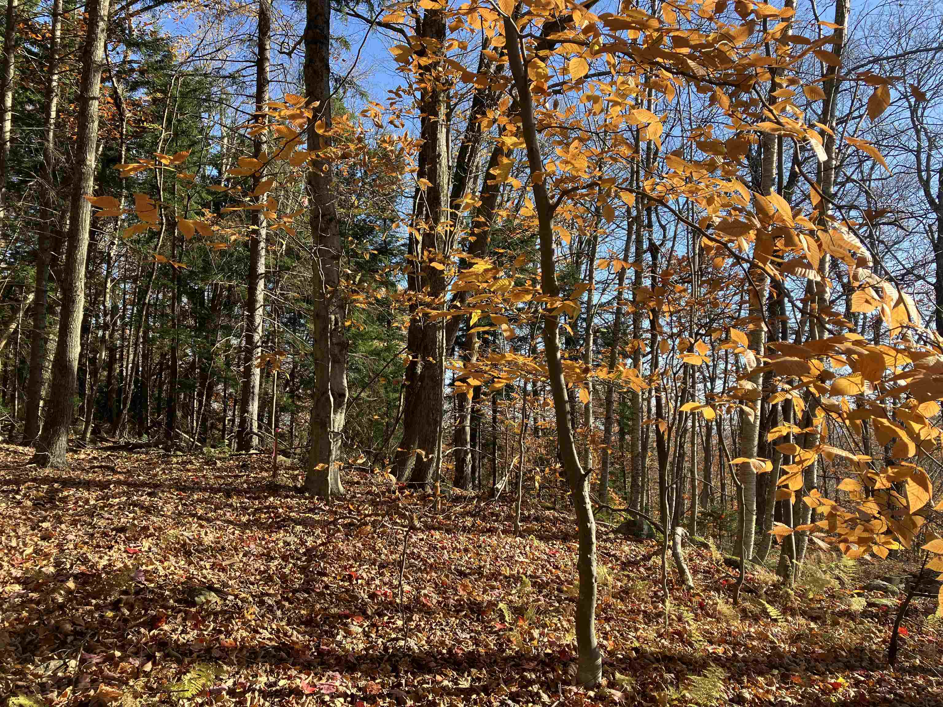 near Upper Dam Road Wilmington, VT 05363-0253 Property 3