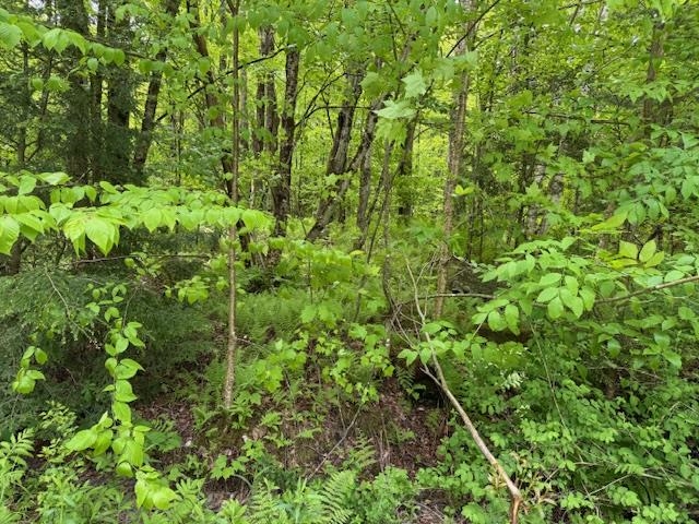 near Lot 2 North Cambridge Road Cambridge, VT 05464 Property 4