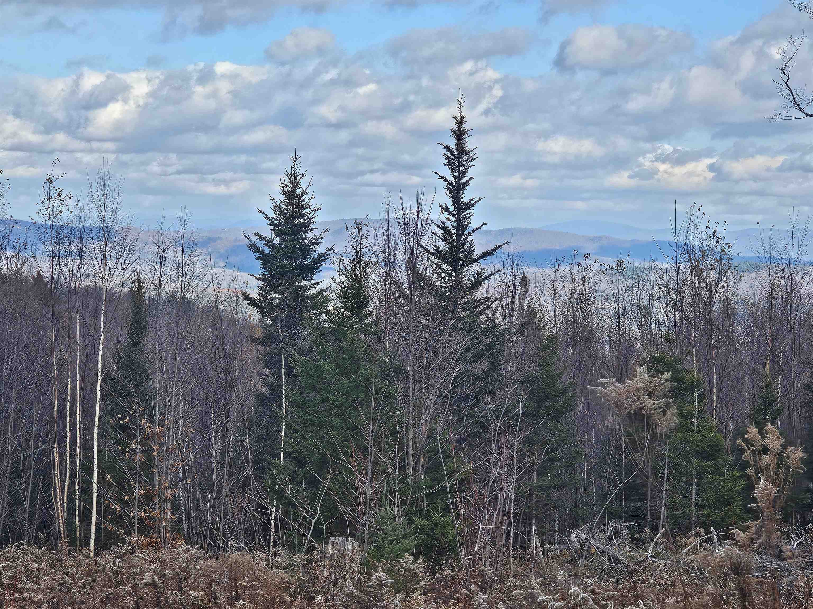 near 309 VT Route 100 Dover, VT 05356 Property 4 near 309 VT Route 100 Dover, VT 05356 Property 4