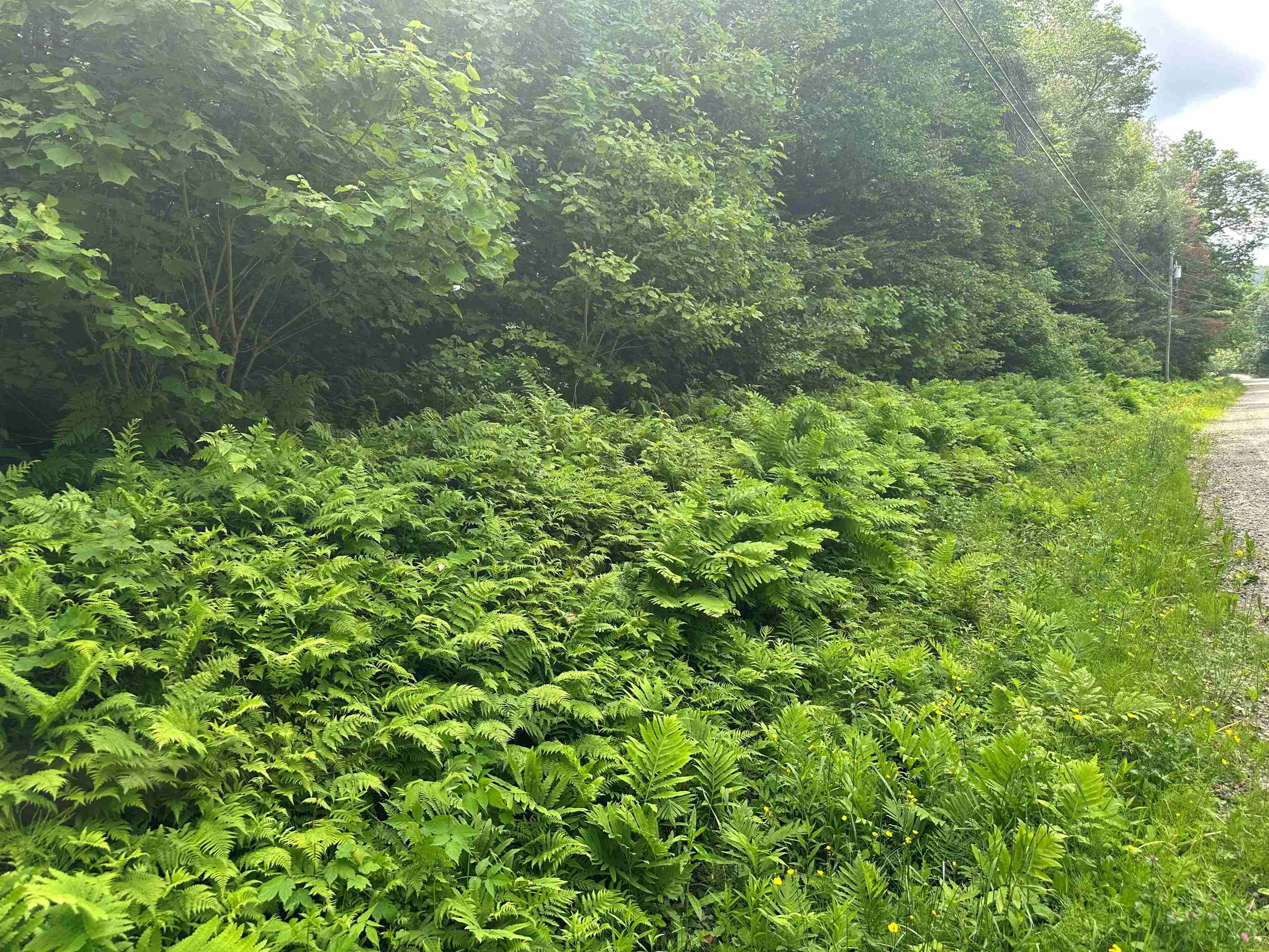 near 41 Moose Hollow Road Winhall, VT 05340 Property 1