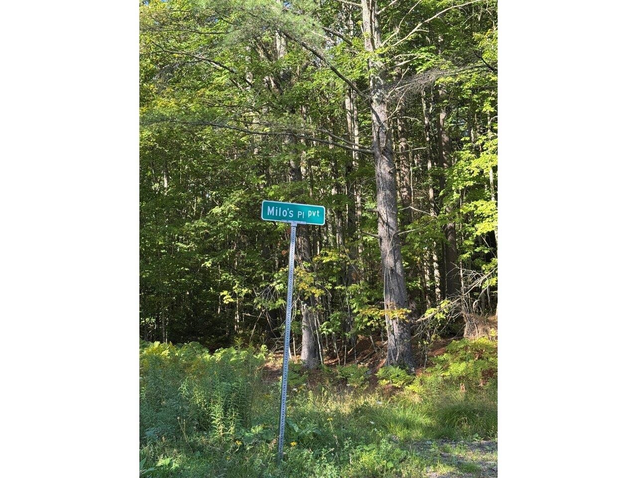 near 41 E Hampshire Hill Road Worcester, VT 05682 Property 4