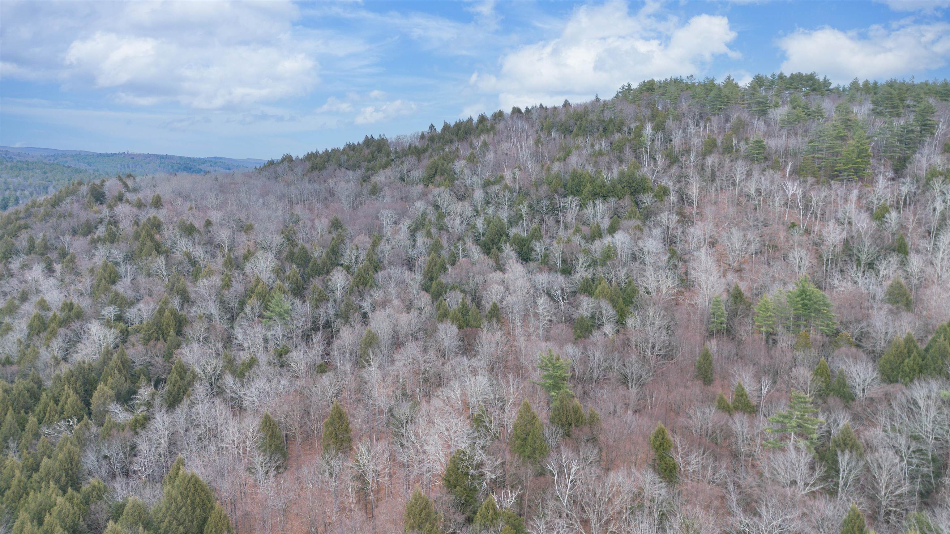 near 227 Gault Road Wardsboro, VT 05355 Property 2