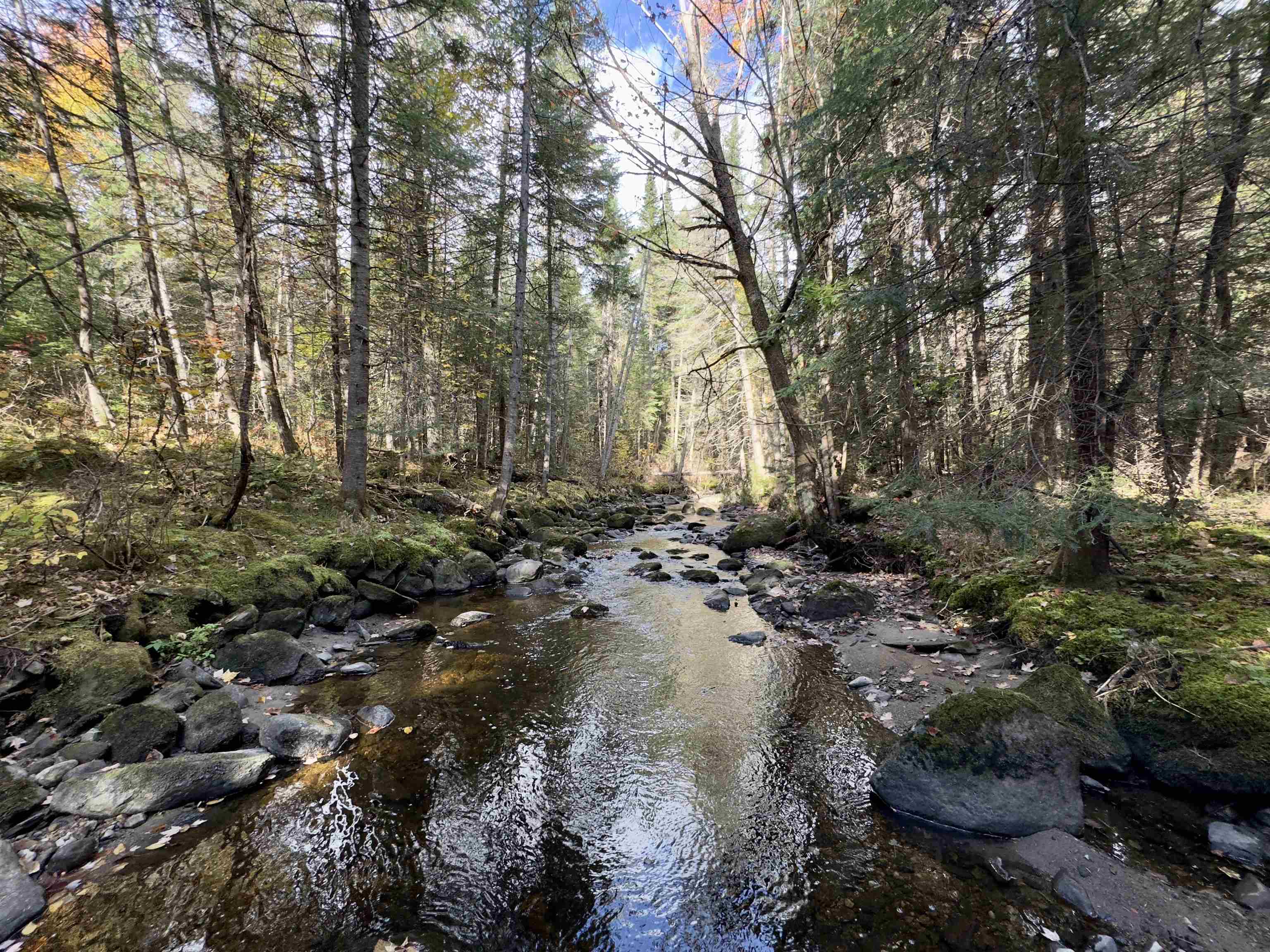 near 0 US Route 2 Lunenburg, VT 05906 Property 2