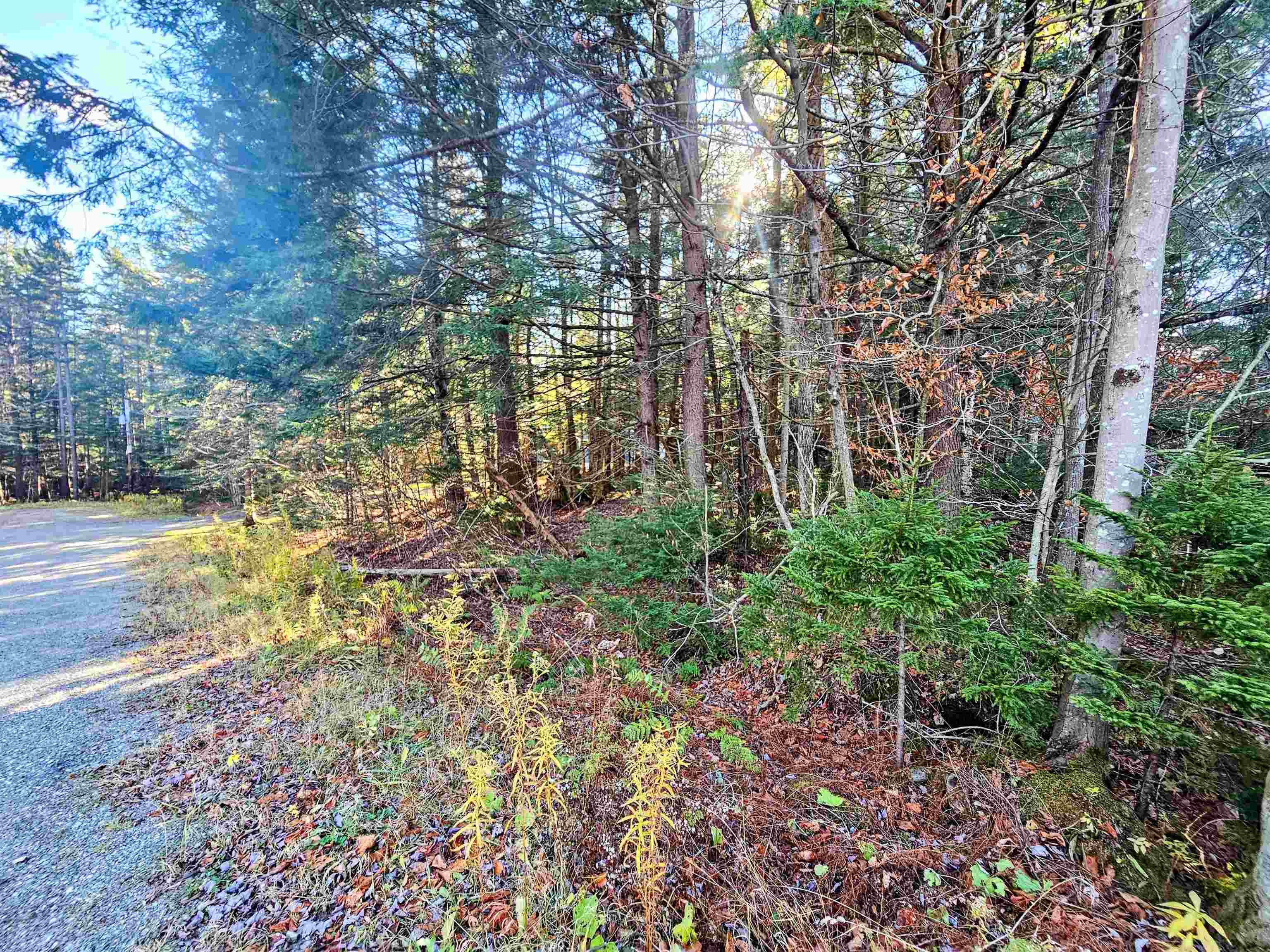 near 0 Higley Hill Road Dover, VT 05356 Property 3